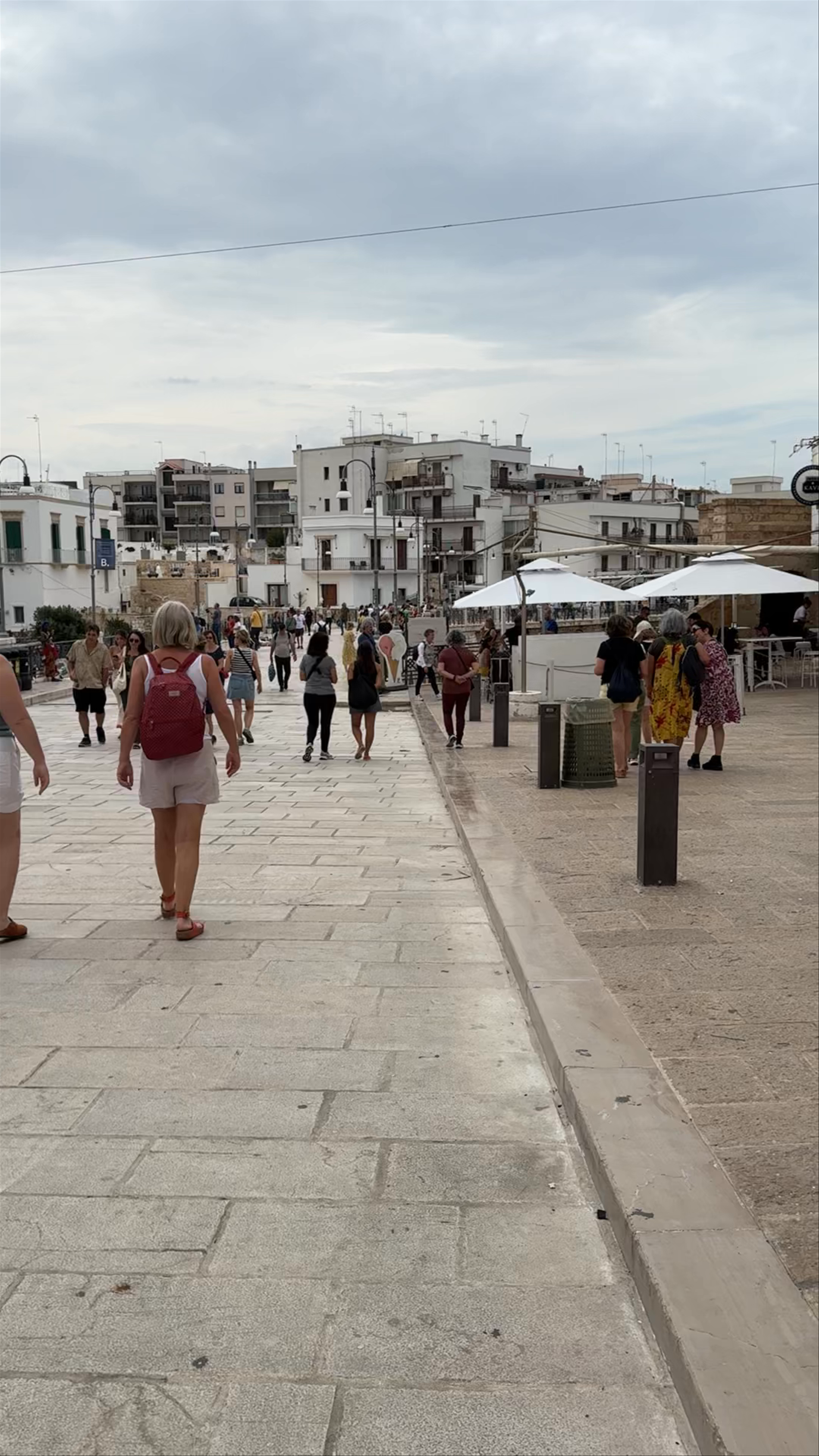 Ponte Borbonico su Lama Monachile