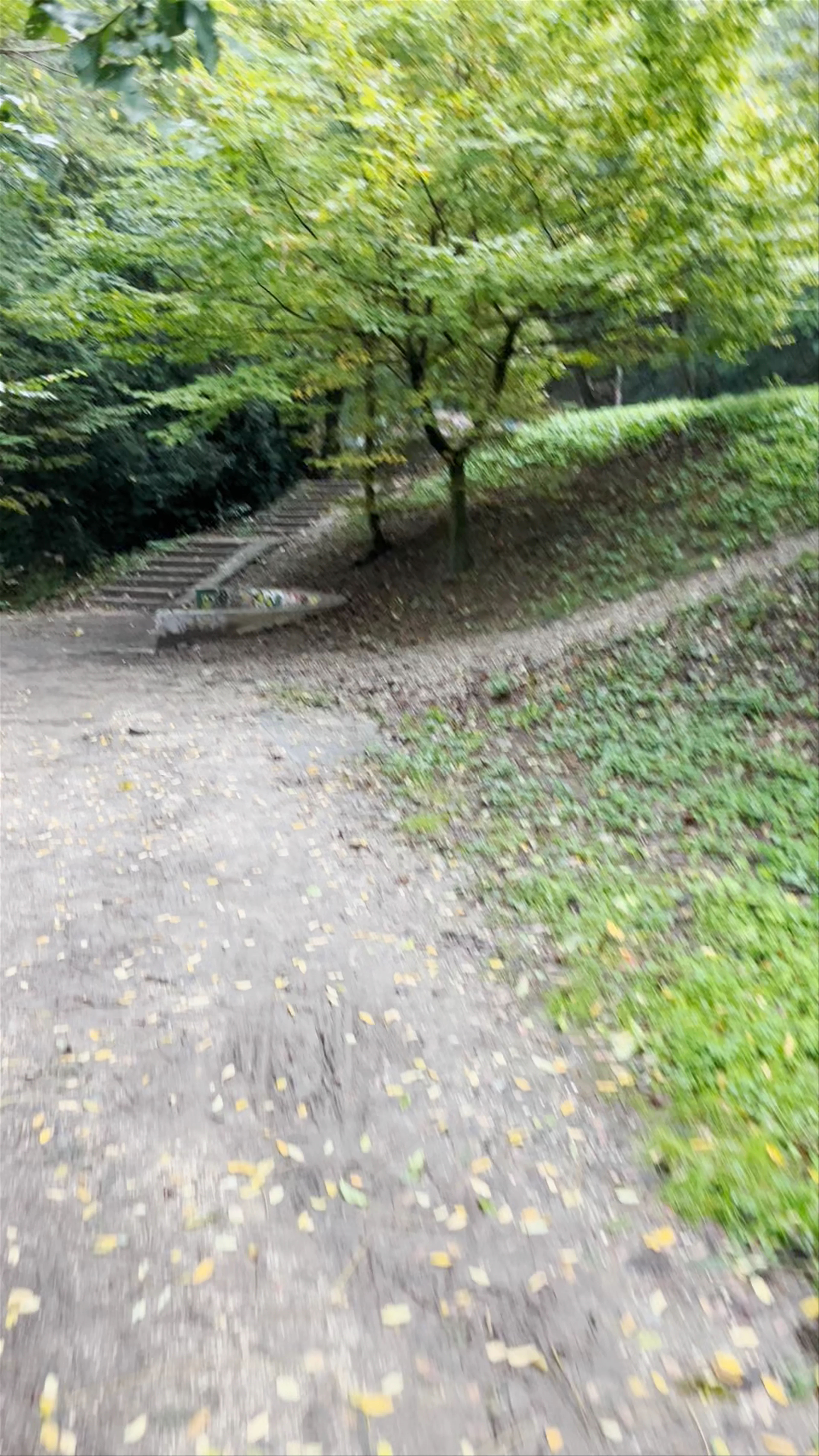 Passerelle du Bois de la Bâtie, Avenue de la Jonction