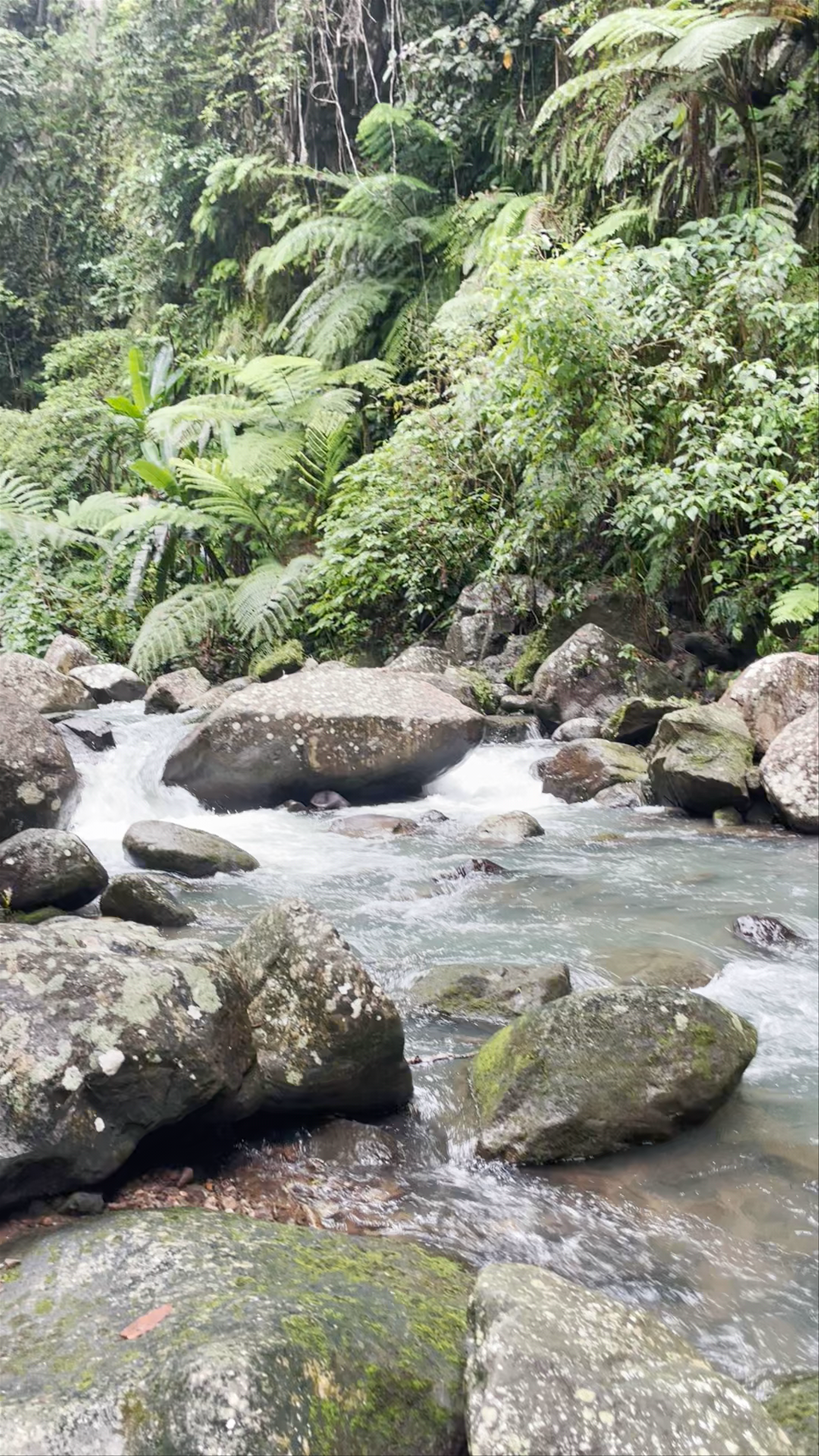 Casaroro Falls: A Hidden Tropical Paradise in Negros Oriental, Philippines
