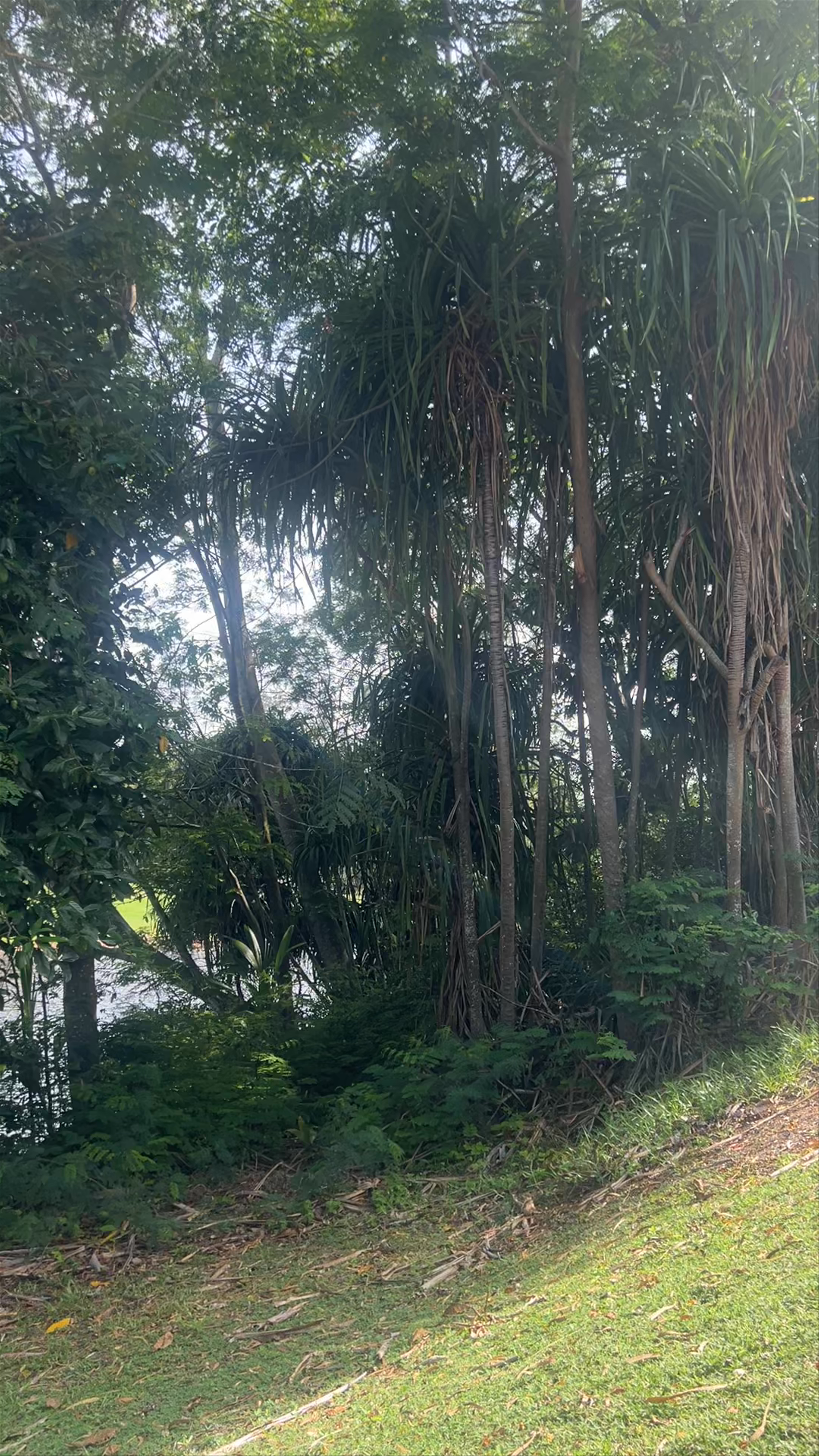 Constance Lemuria Praslin Seychelles