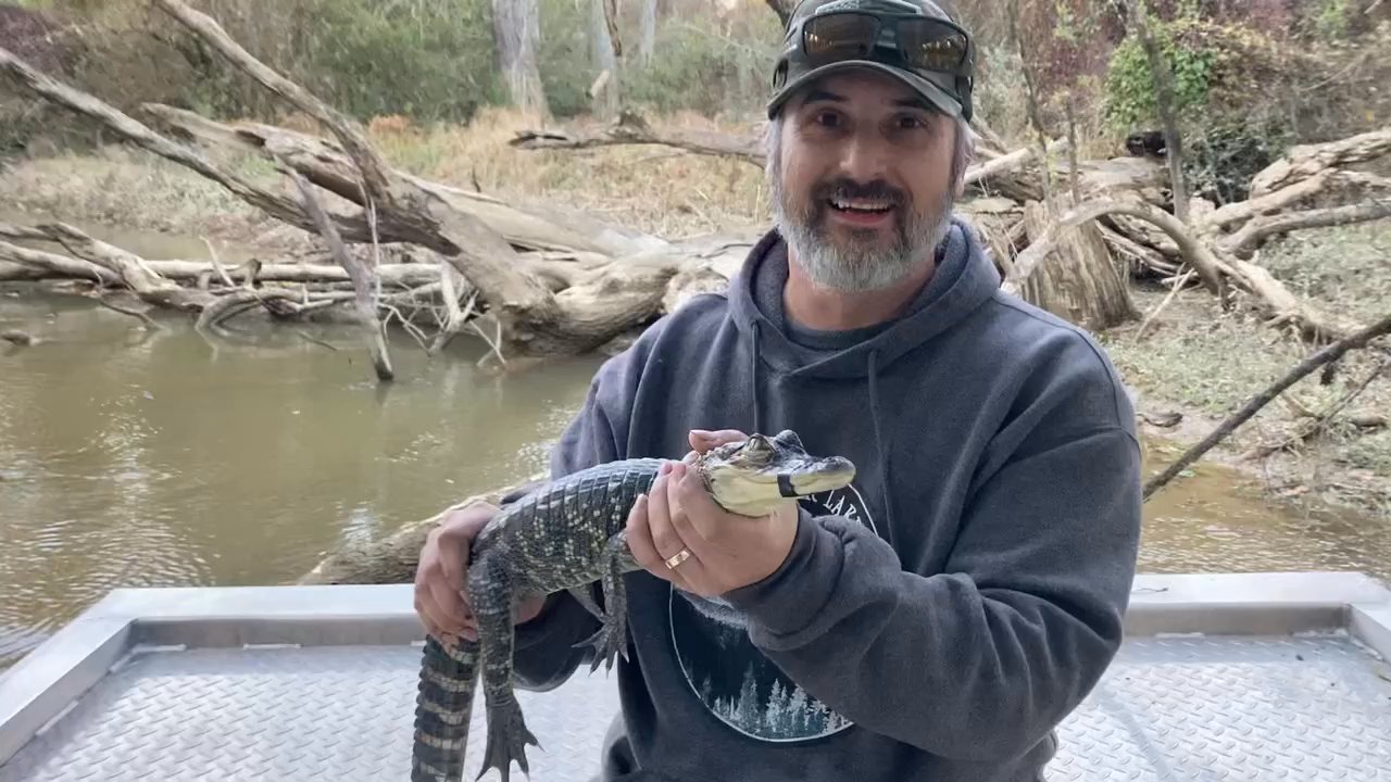 Pilot Flying J - Getting to hold a baby alligator and talking at the same time is not easy - Gas Stations Near Me - Pearl River, Louisiana