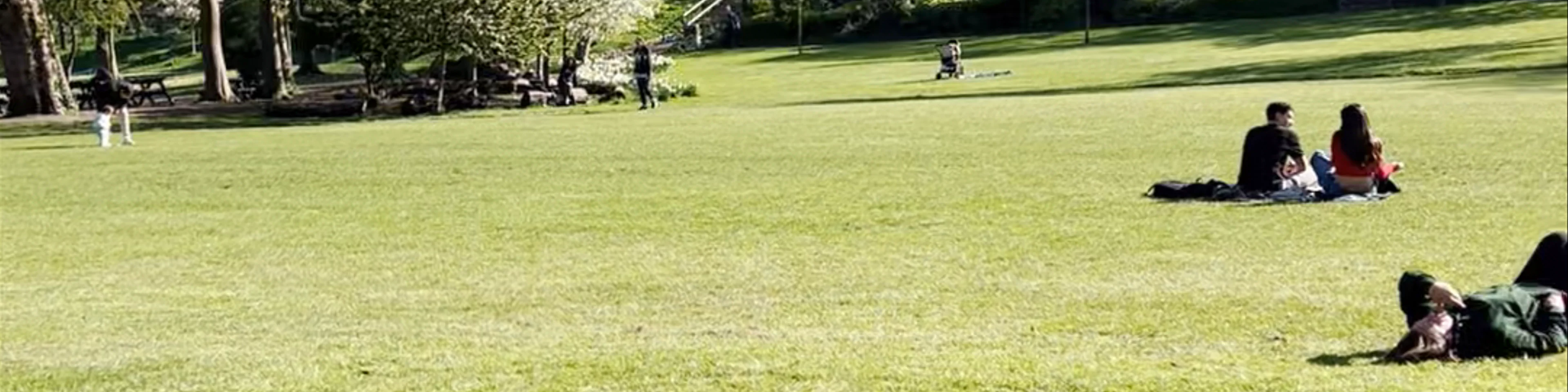Merrion Square