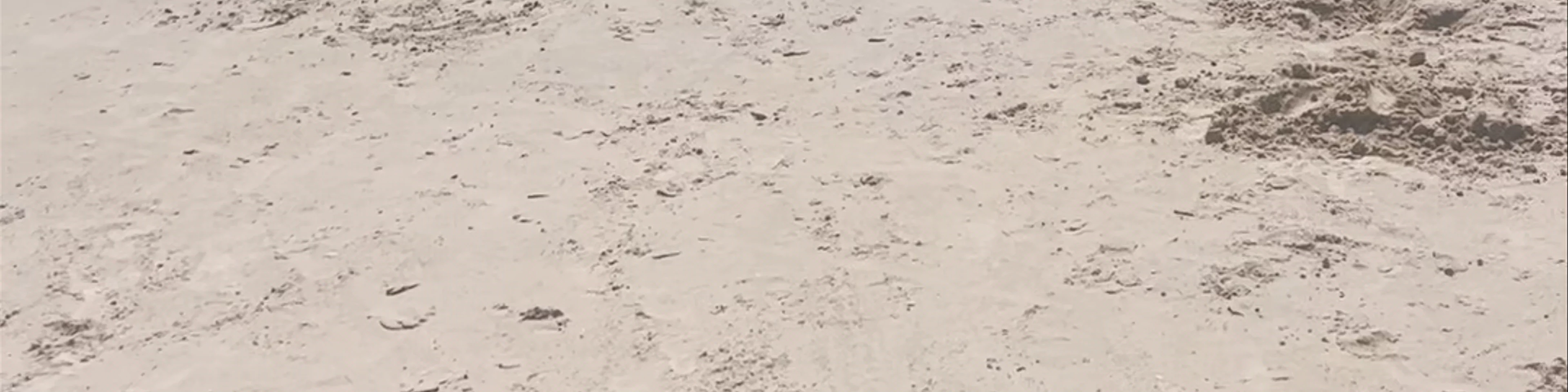 Port Willunga Beach