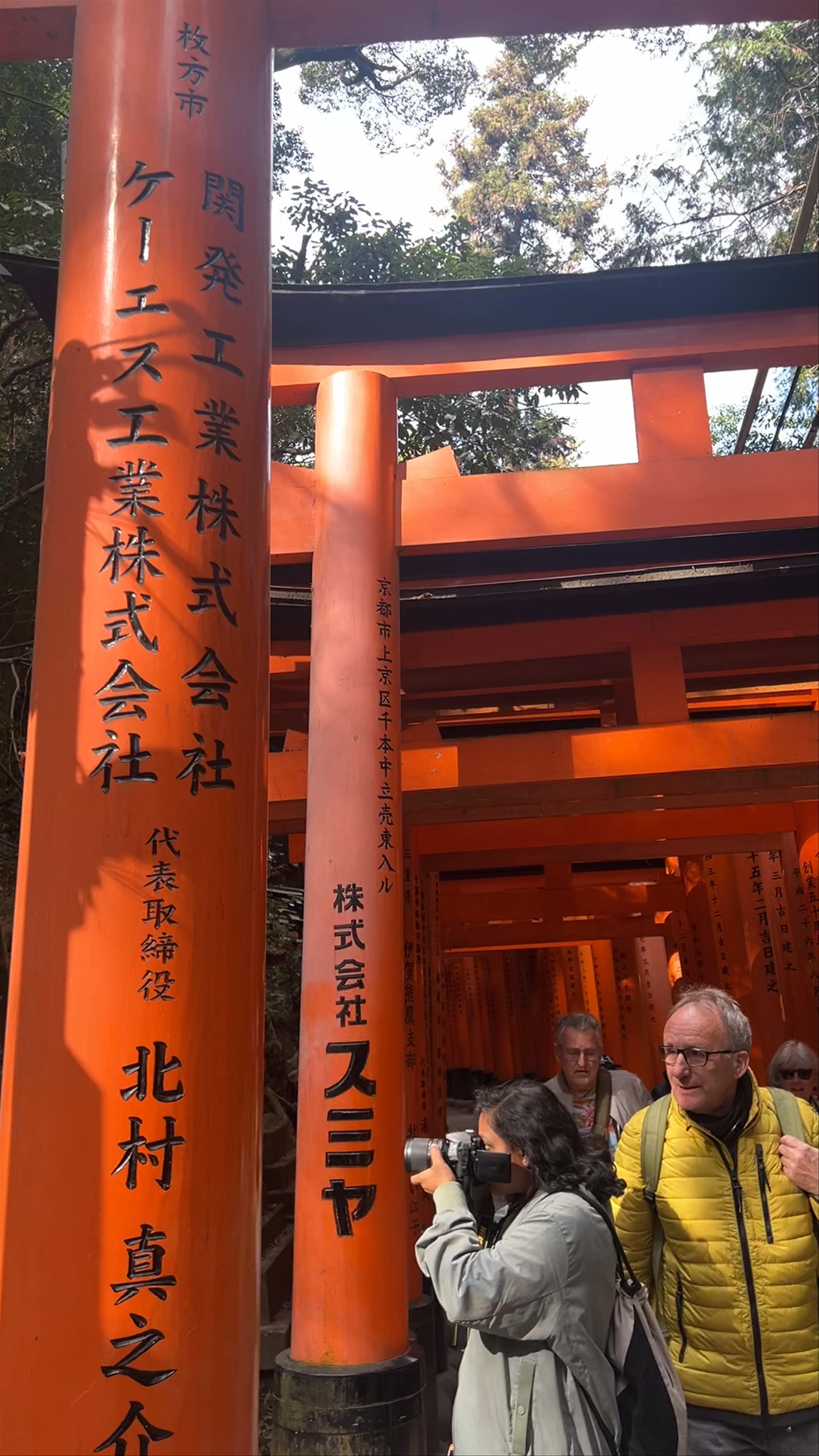 Kumataka Shrine: Serene Pathways Through Kyoto’s Hidden Sacred Forest