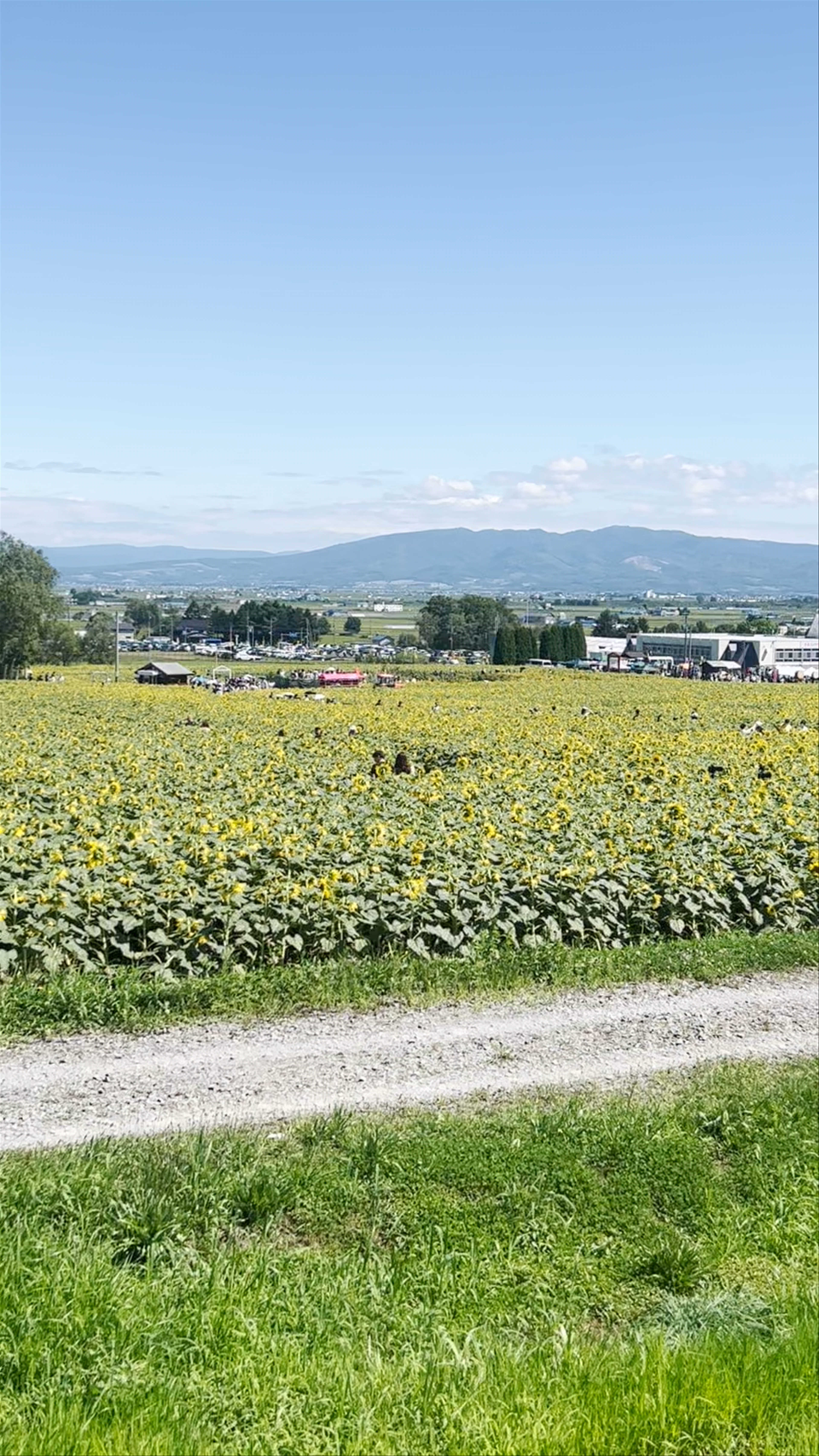 Hokuryu Sunflower Village