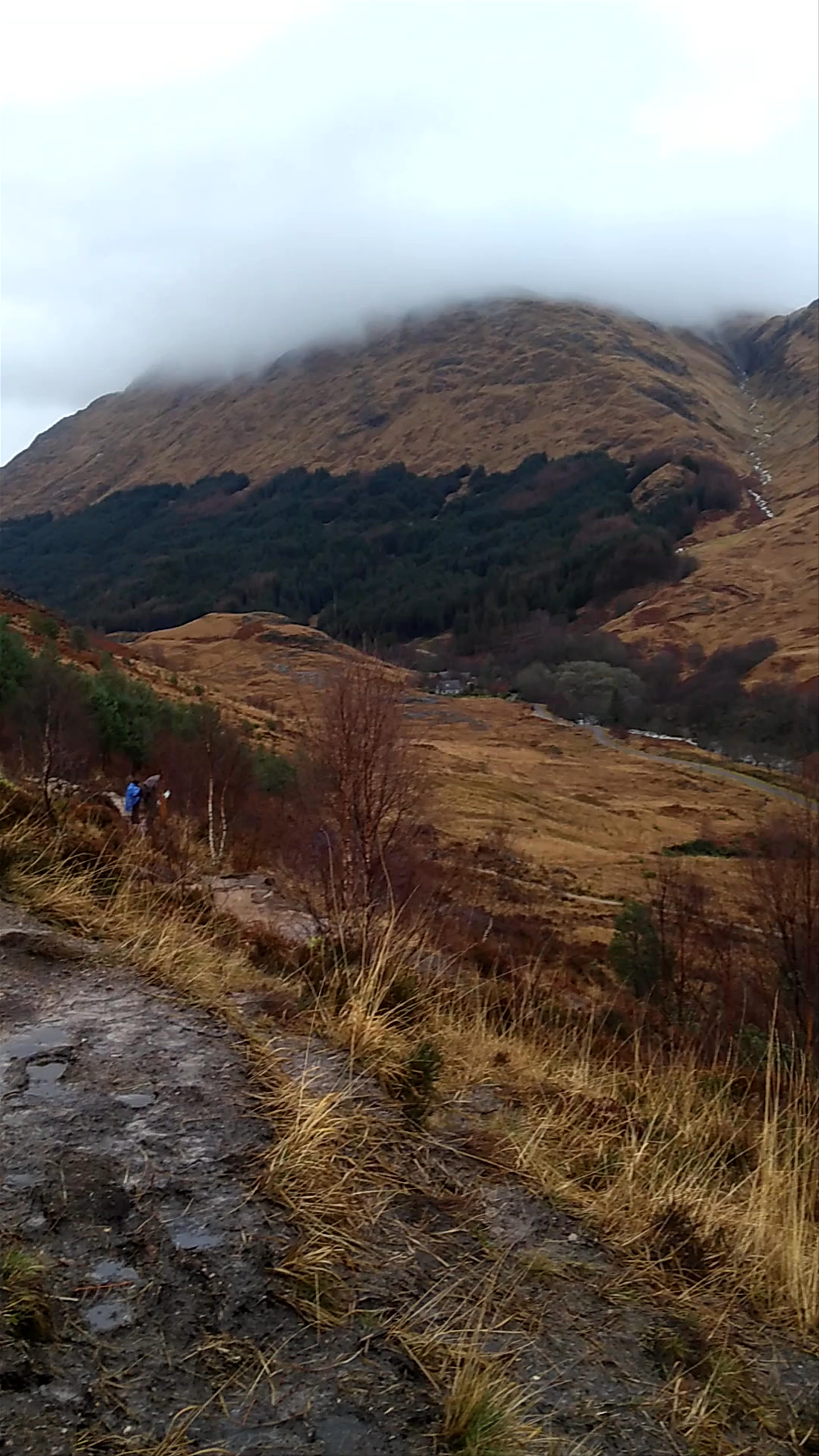 Glenfinnan Viaduct