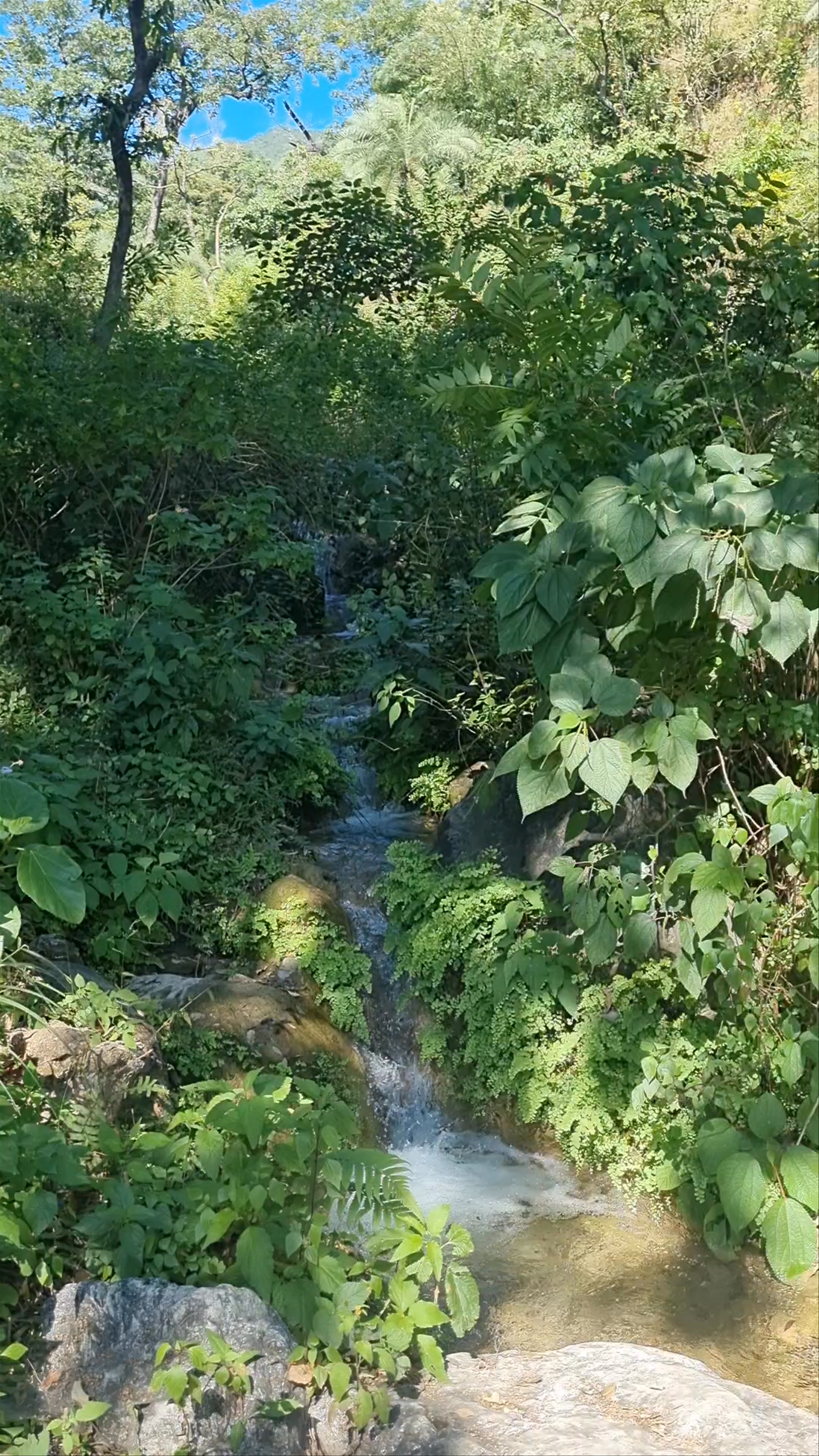 The Secret Waterfall Rishikesh - DhaulSrot