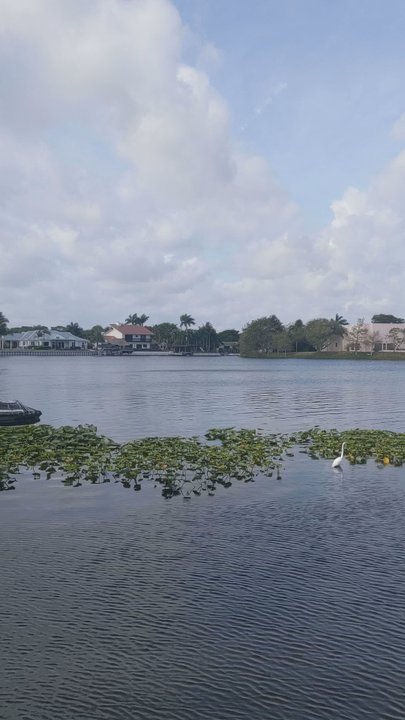 Lakeview Park - Panorama of the park - Playgrounds Near Me - Delray Beach, Florida