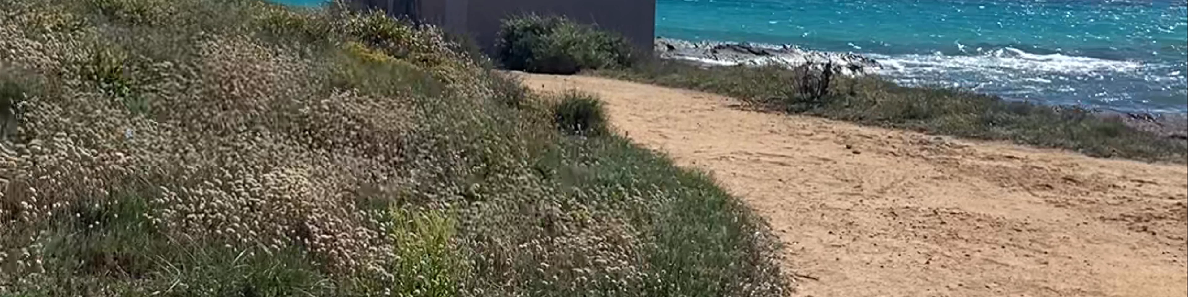 Platja des freu