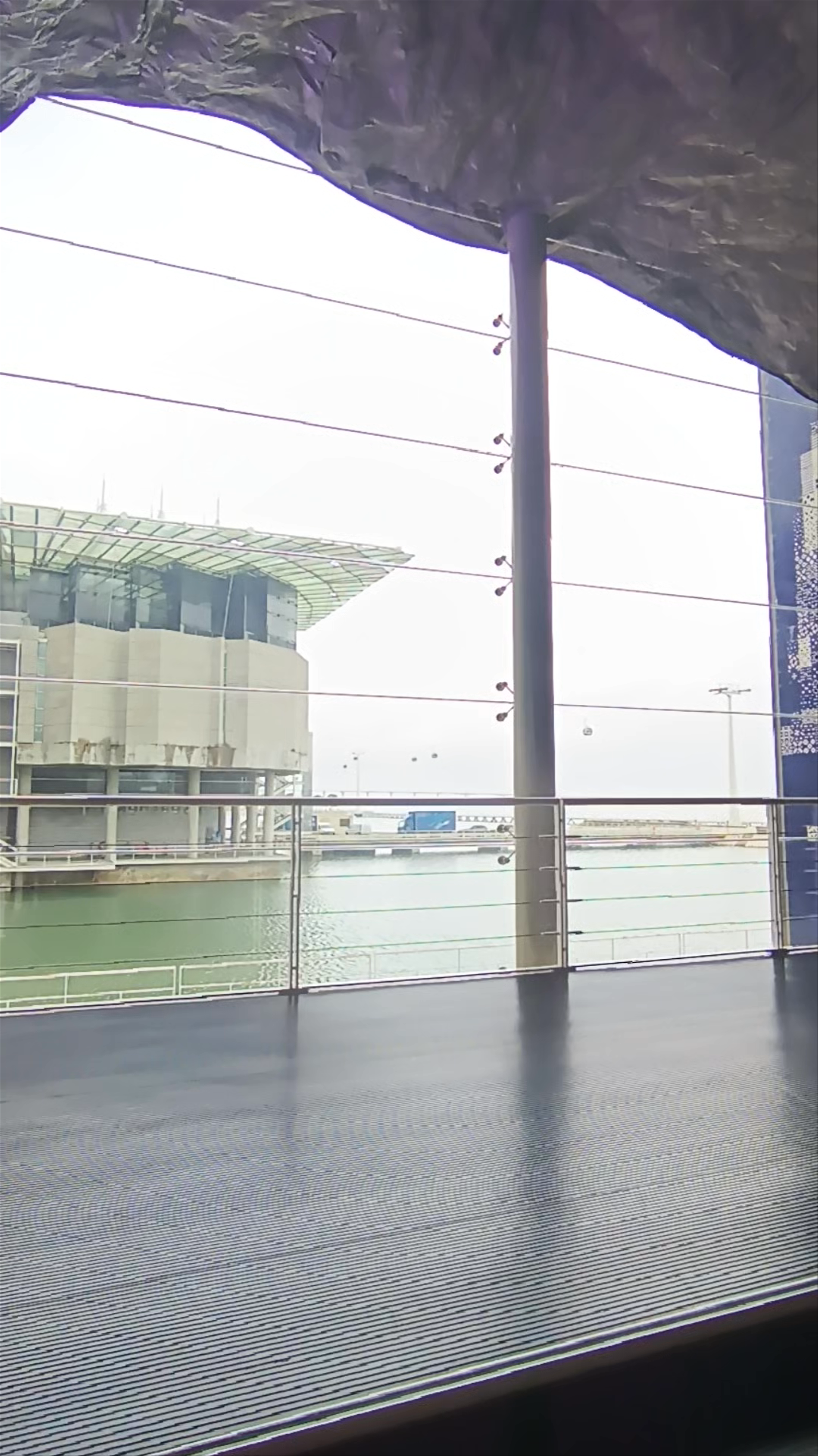 Oceanário de Lisboa: Immersive Marine Wonders in Lisbon