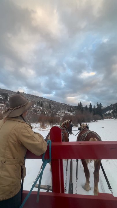 Bearcat Stables - Horseback Riding Near Me - Edwards, Colorado