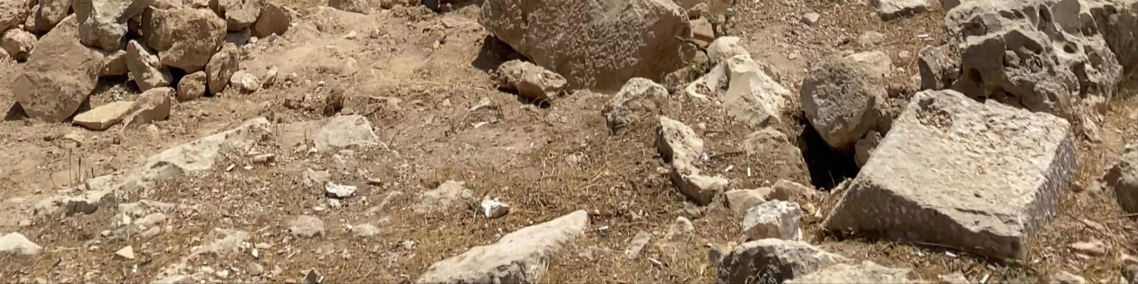 Ajloun Castle