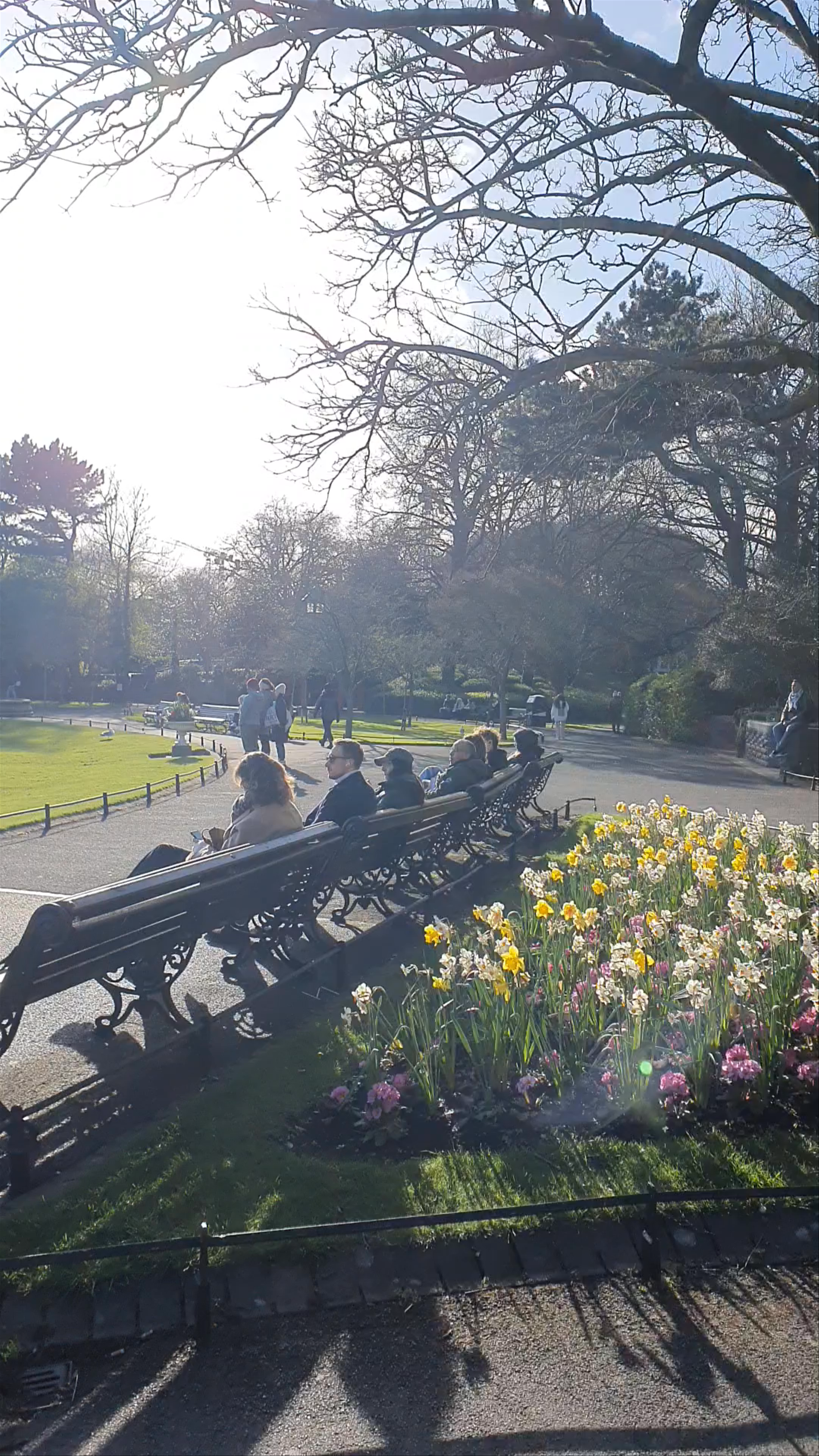 St Stephen's Green: A Serene Urban Oasis in Dublin