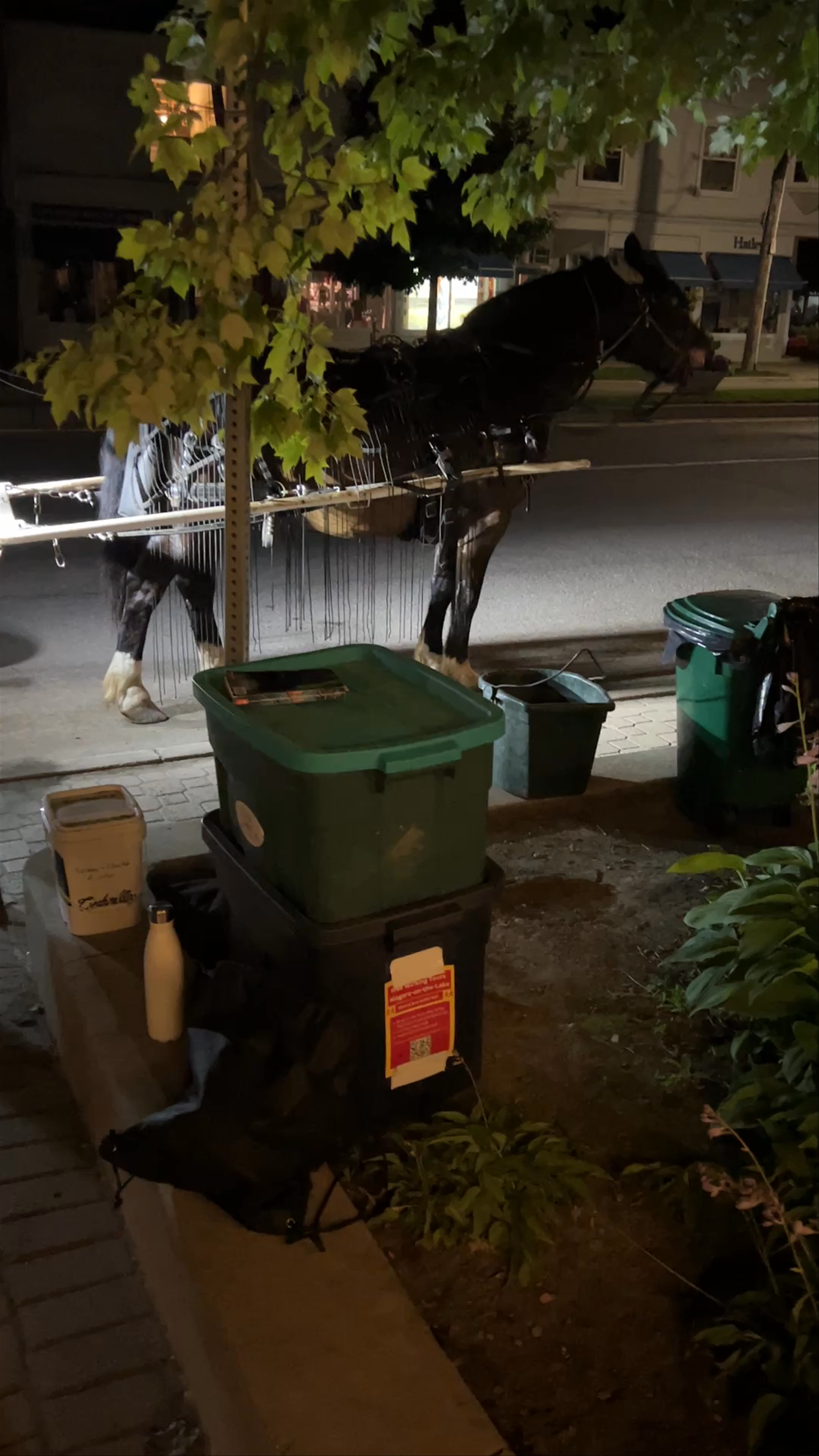 Sentineal Horse & Carriage