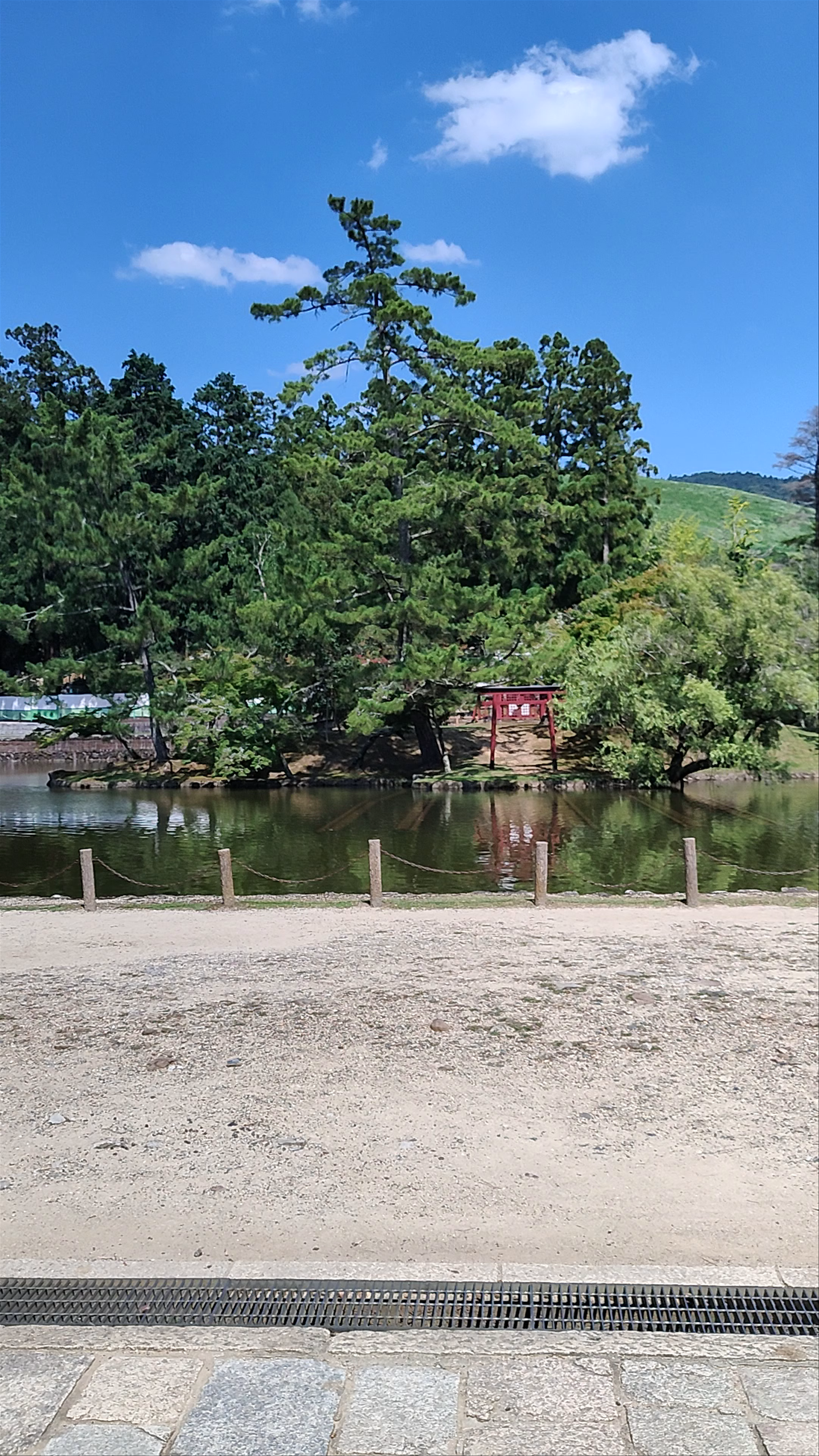 Tōdai-ji Temple: Spiritual Serenity and Timeless Heritage in Nara, Japan