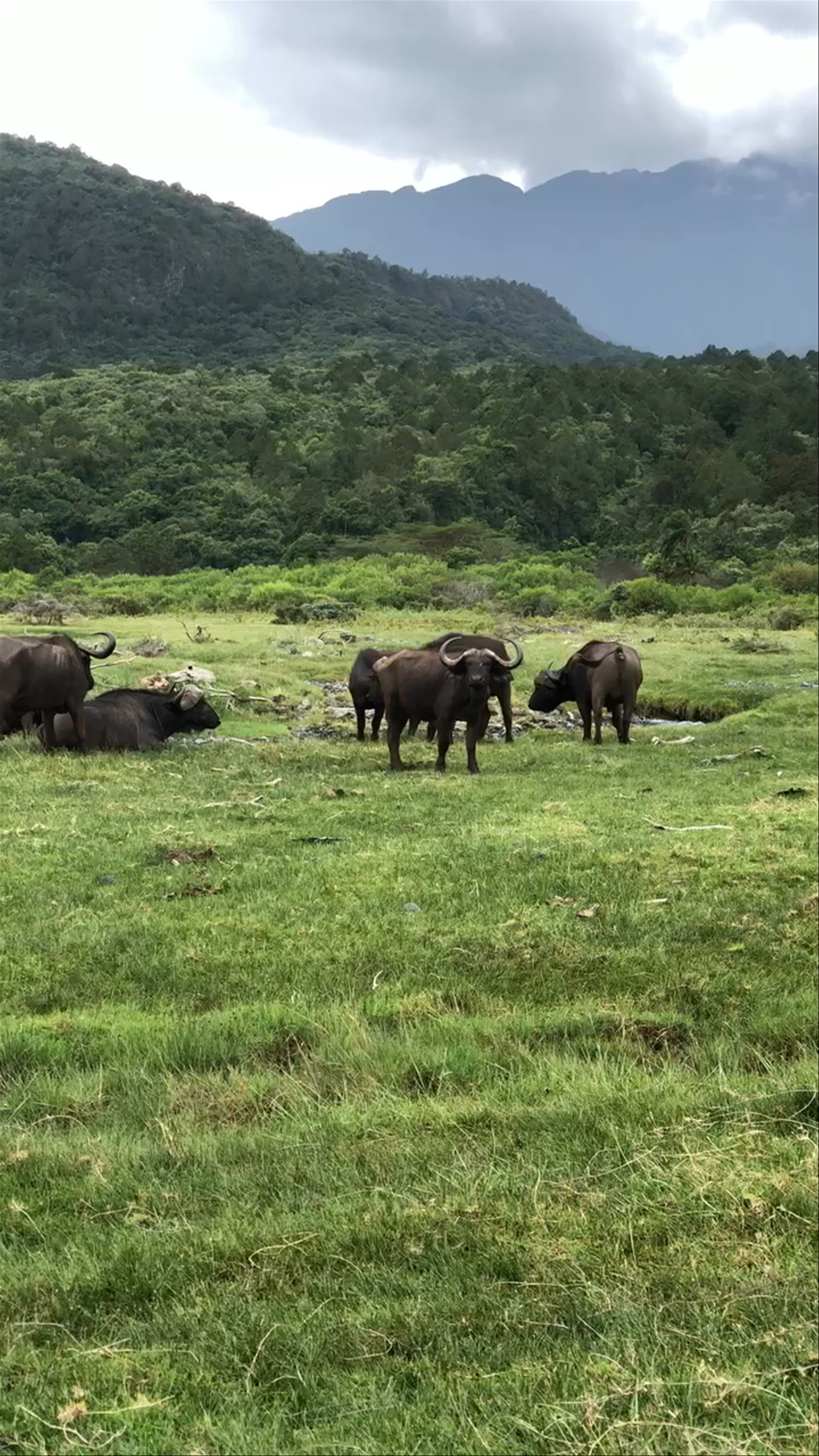 Arusha National Park