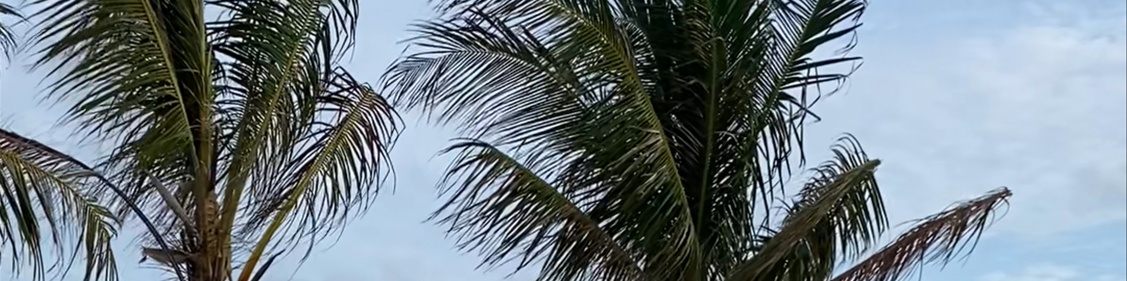 Maldives