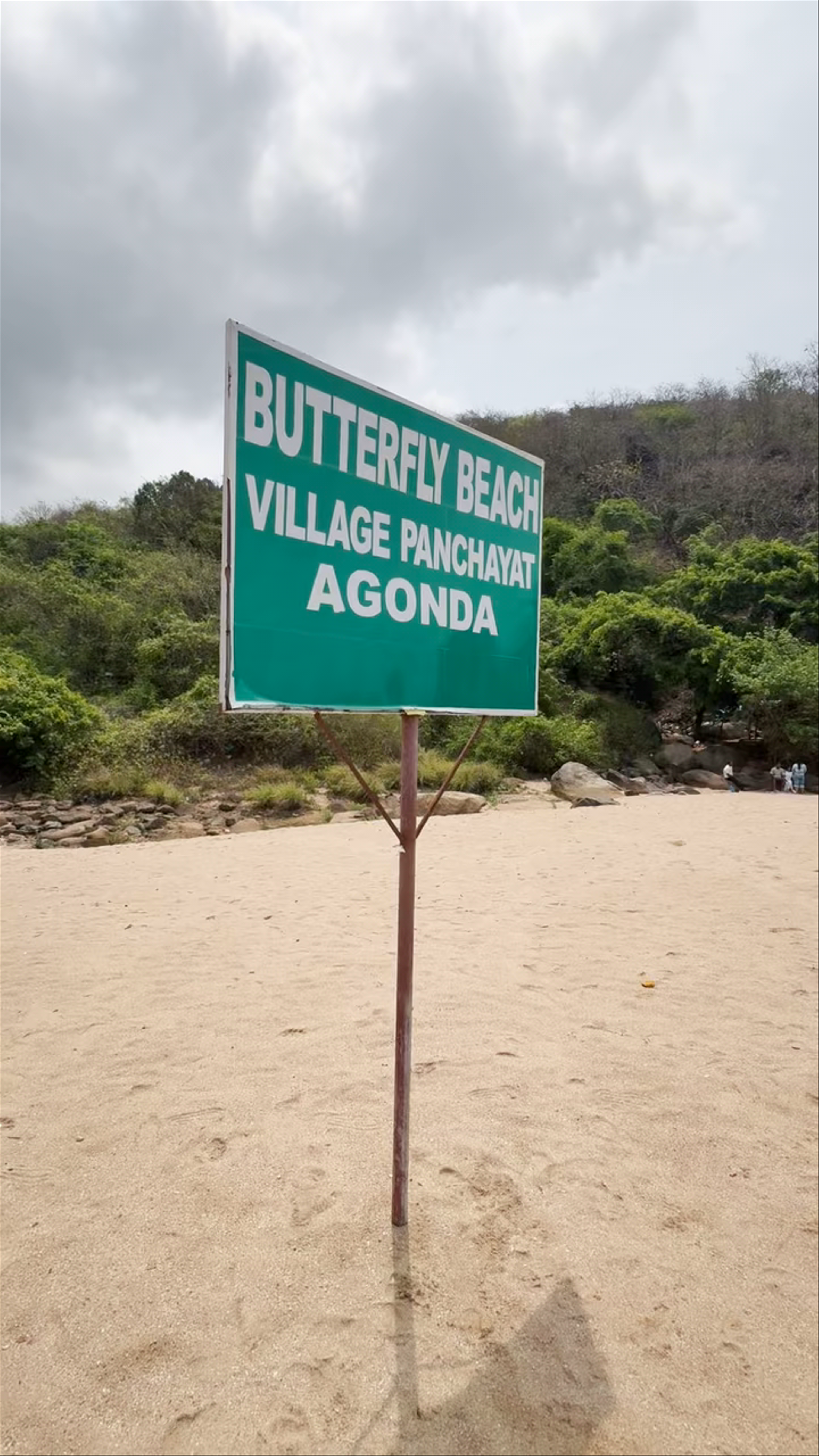 Butterfly Beach