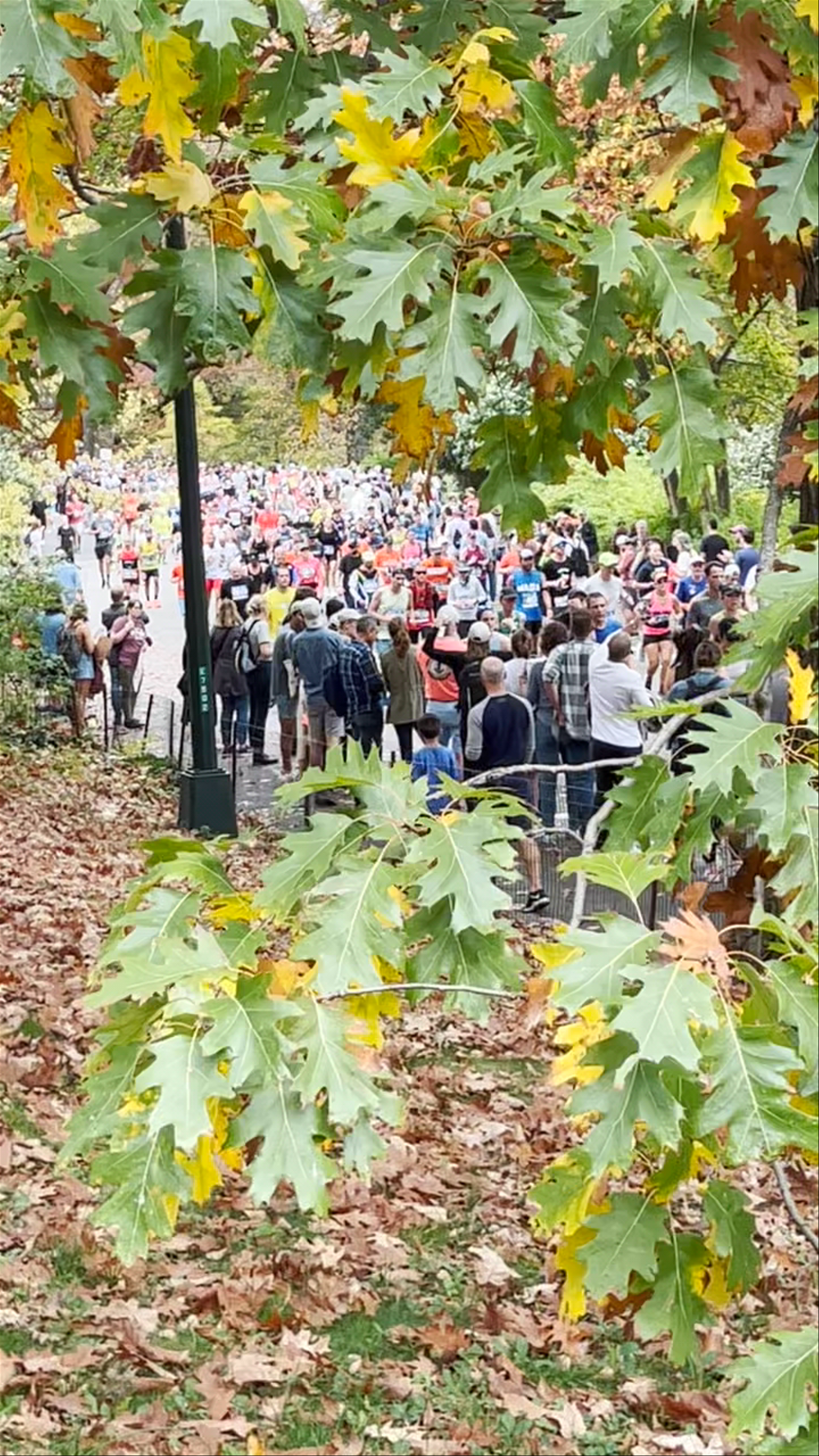 Central Park
