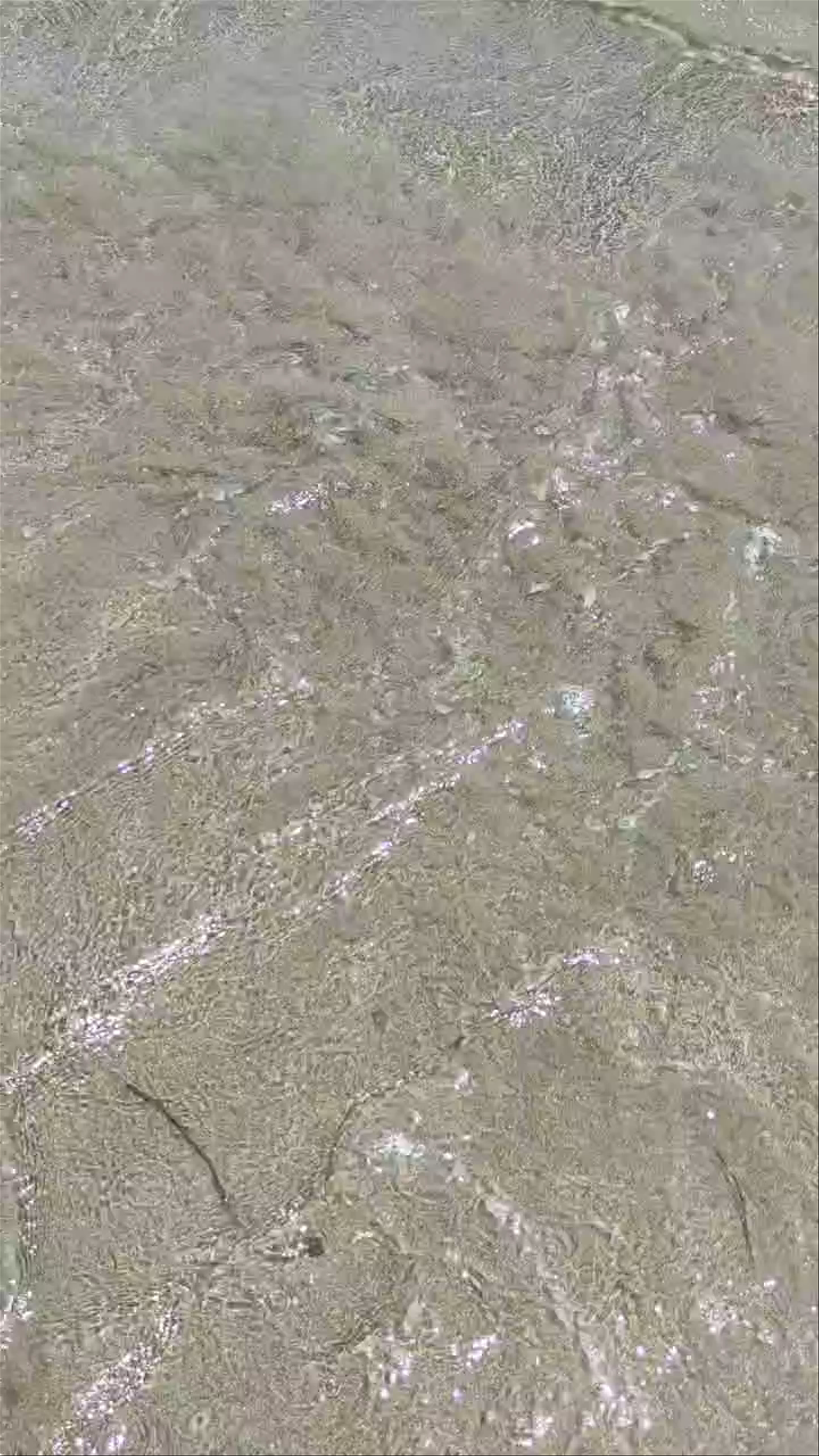 Playa del Siscal