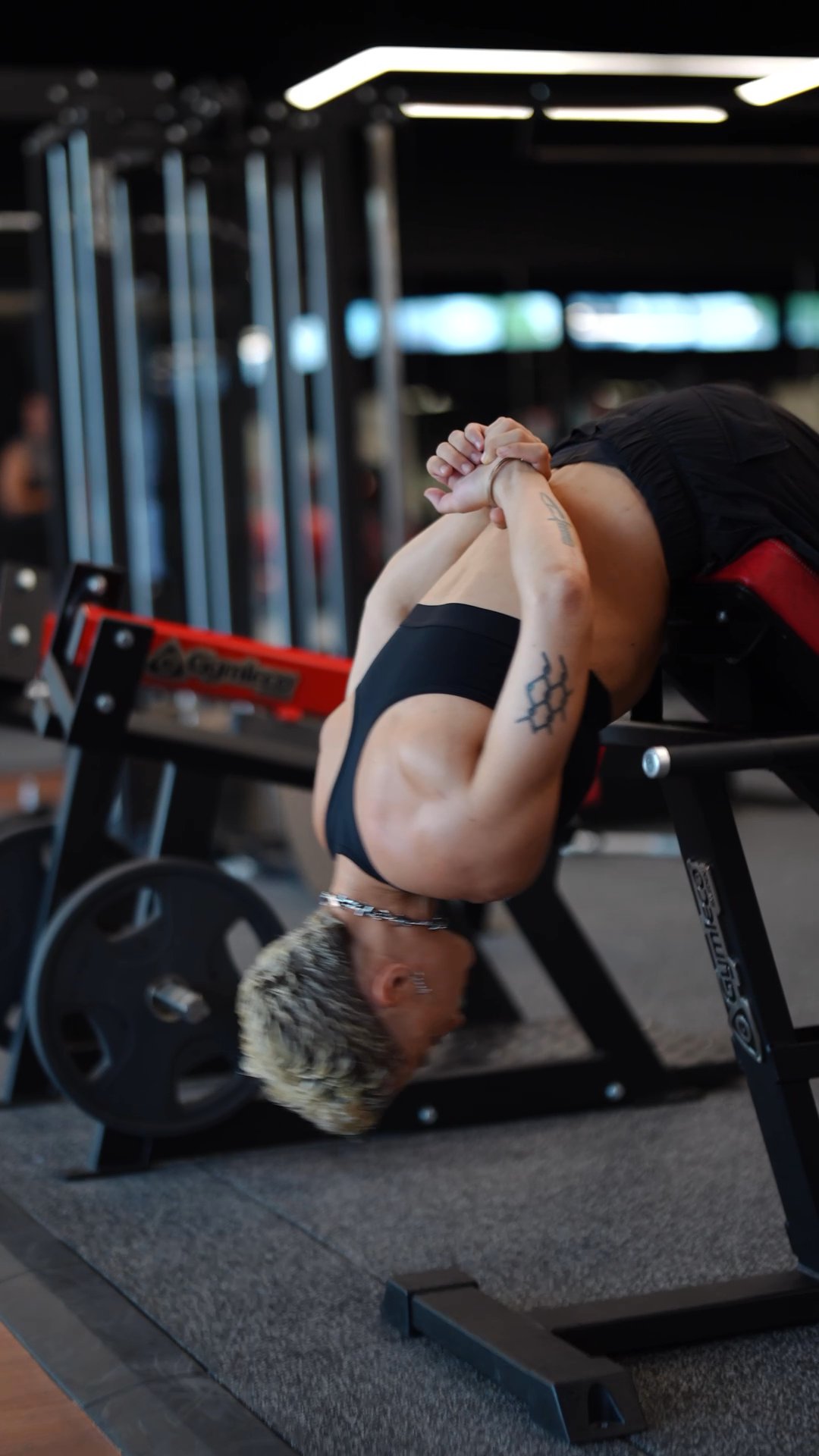 W1/D1 Legs | Rack Pull