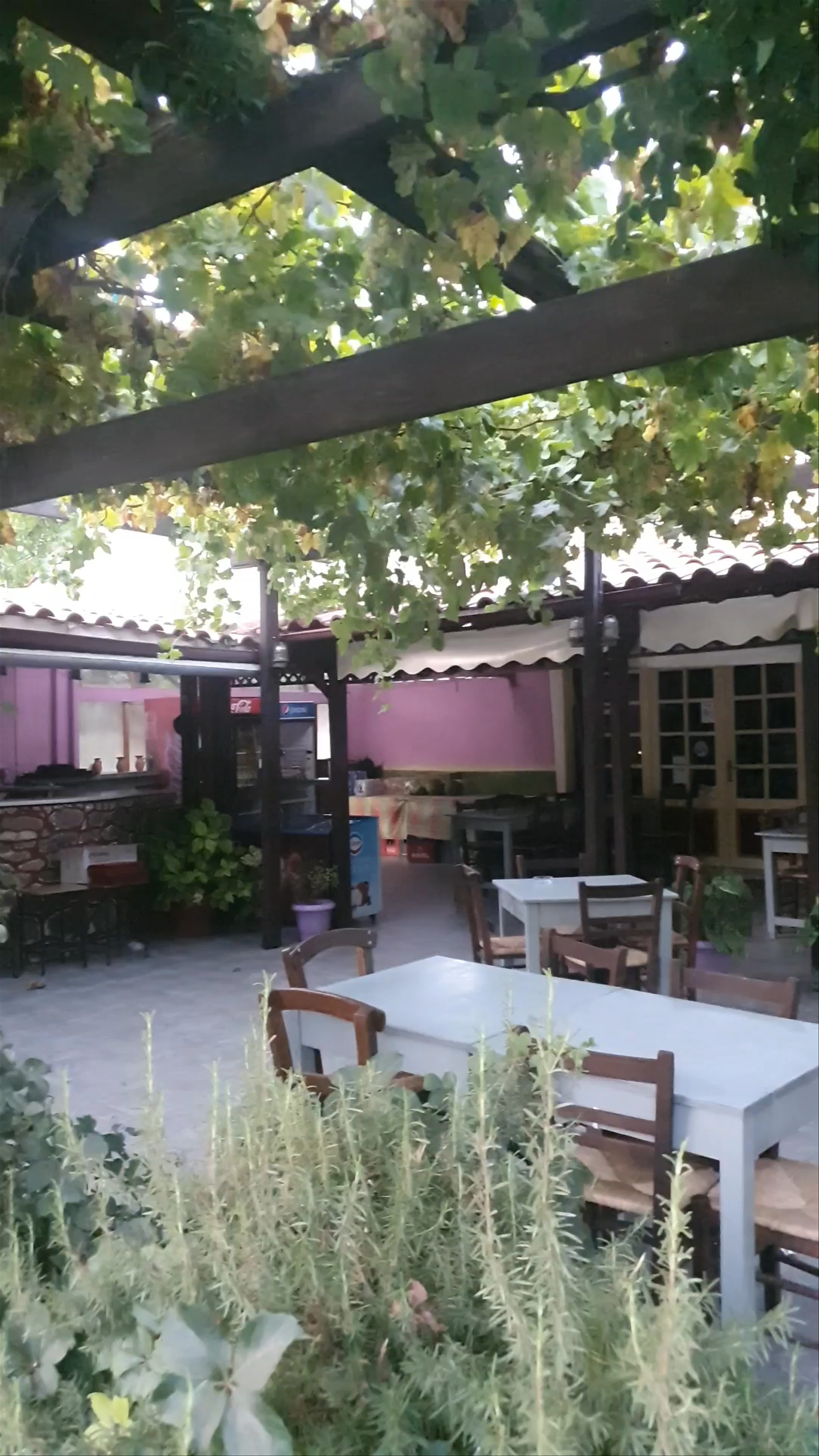 Tavérna Mános: Idyllic Outdoor Dining in Plati, Greece