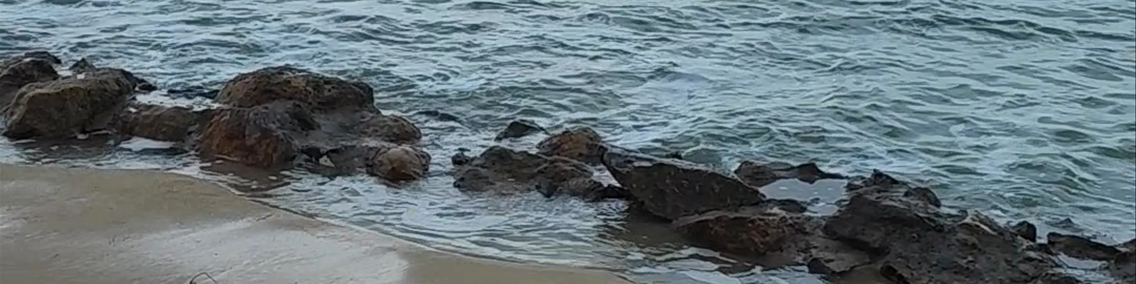 ISLAND LIFE BUNGALOWS