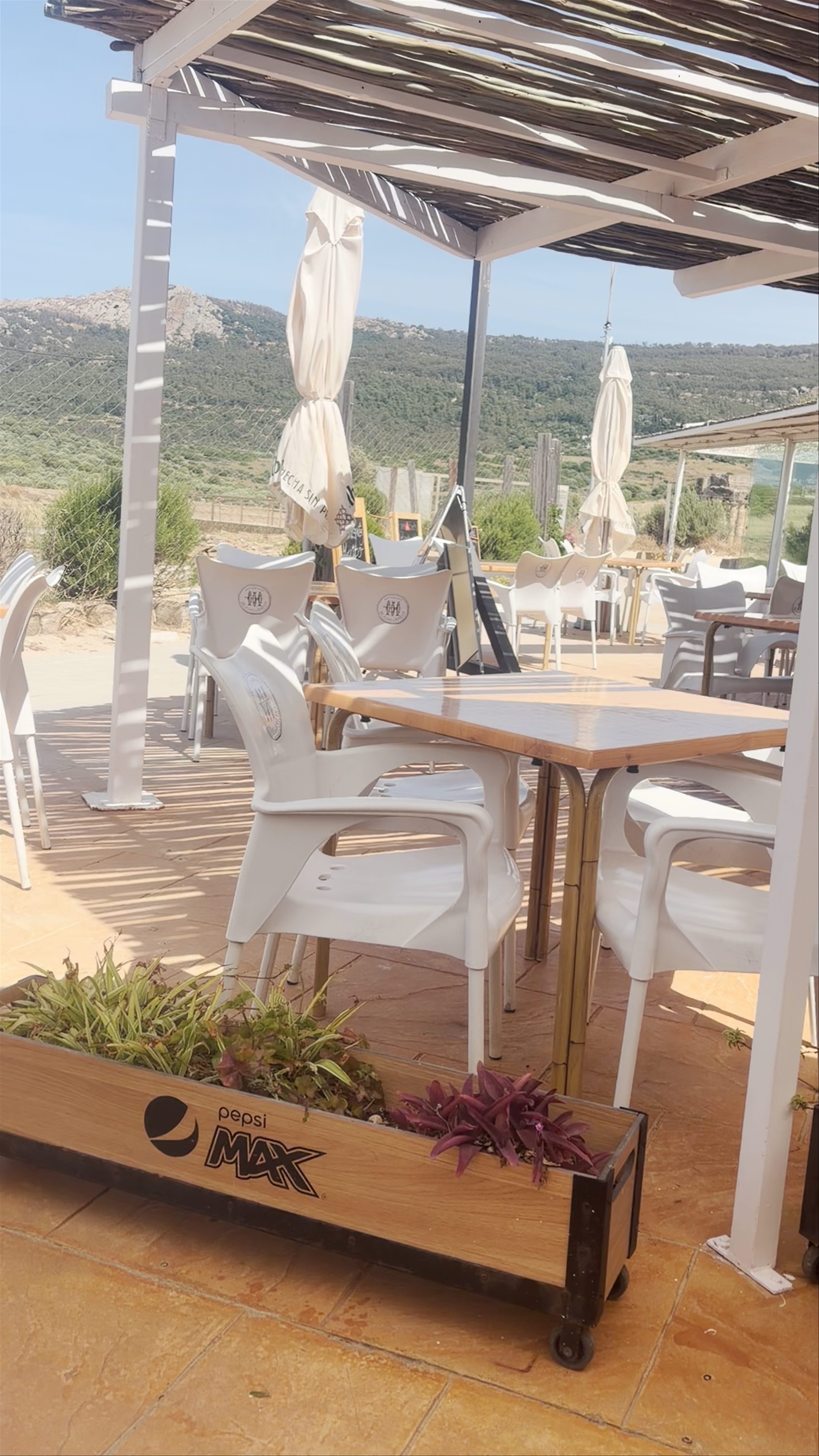 Miramar Bolonia Restaurante