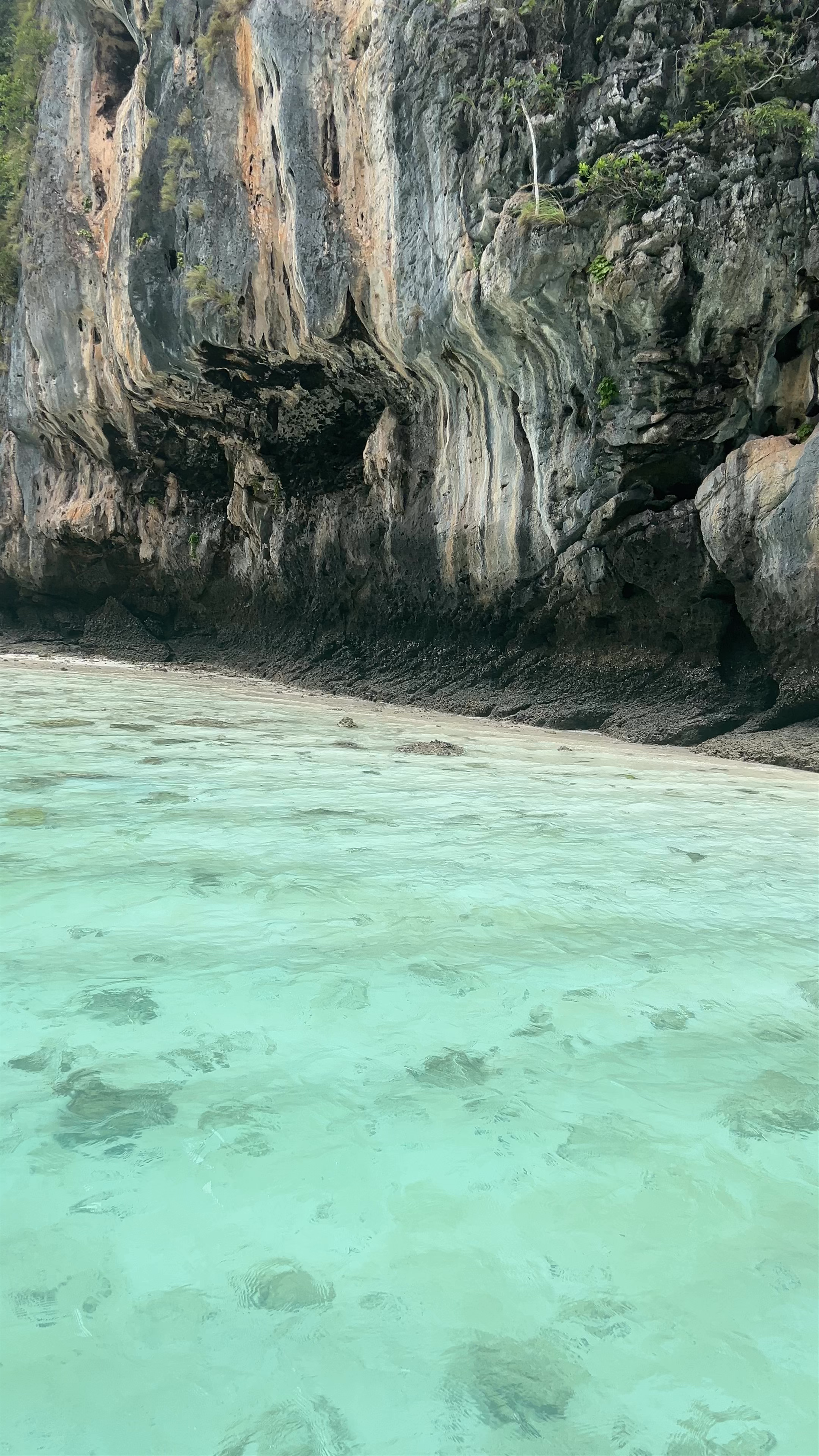 Wow Andaman Phuket Boat Lagoon Pier Thep Krasattri Road