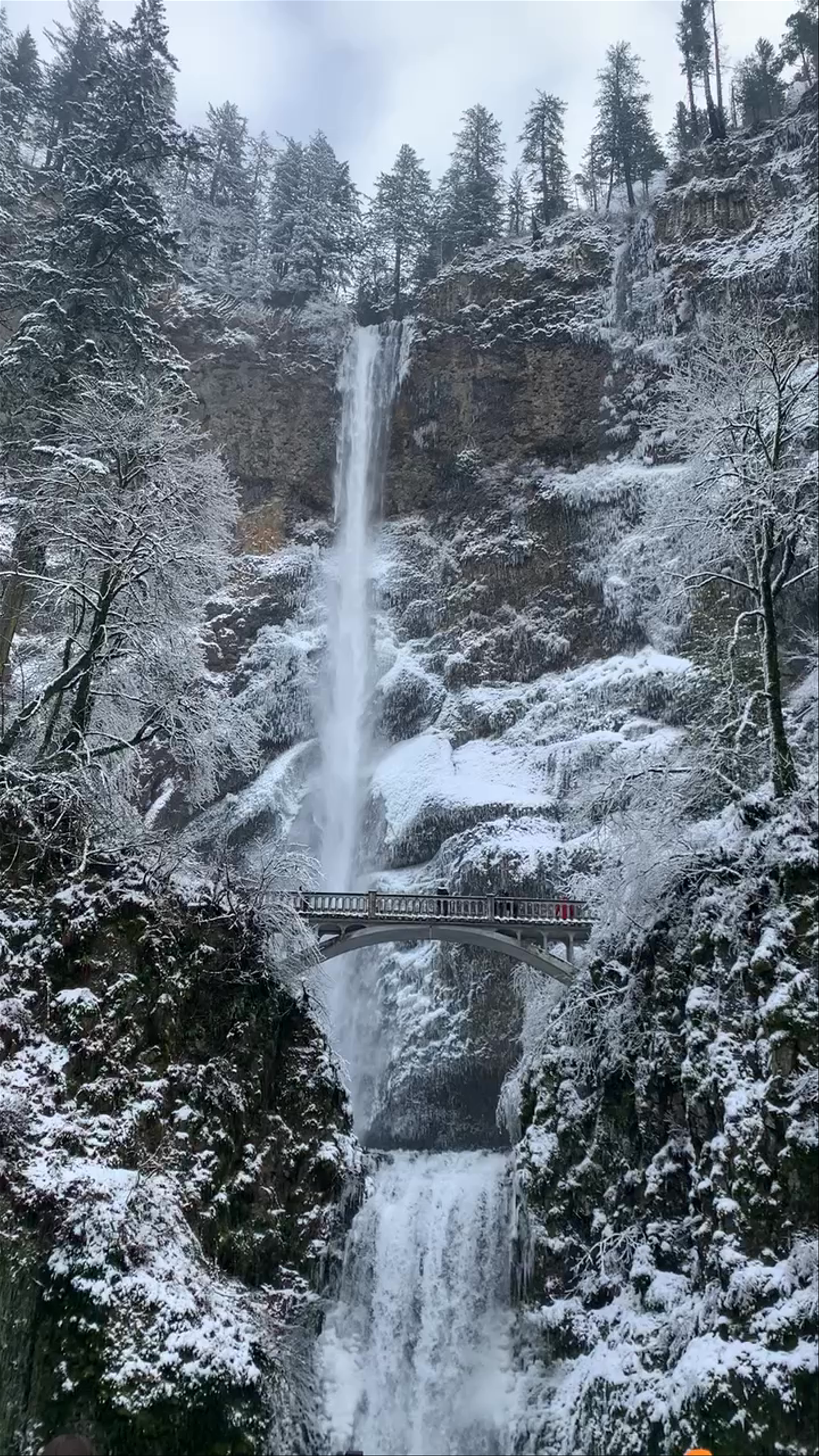 Winter Majesty at Multnomah Falls, Oregon