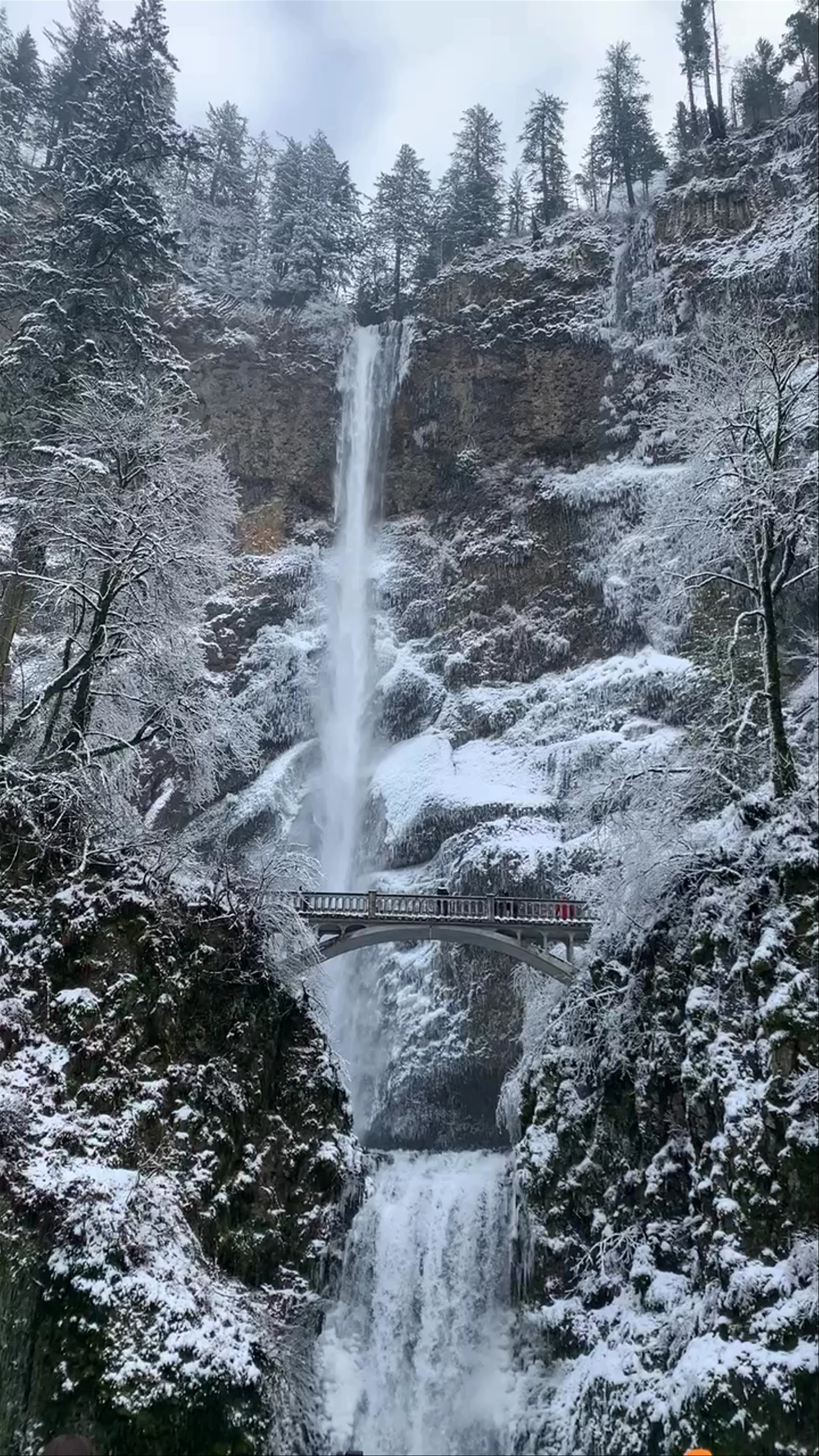 Multnomah Falls