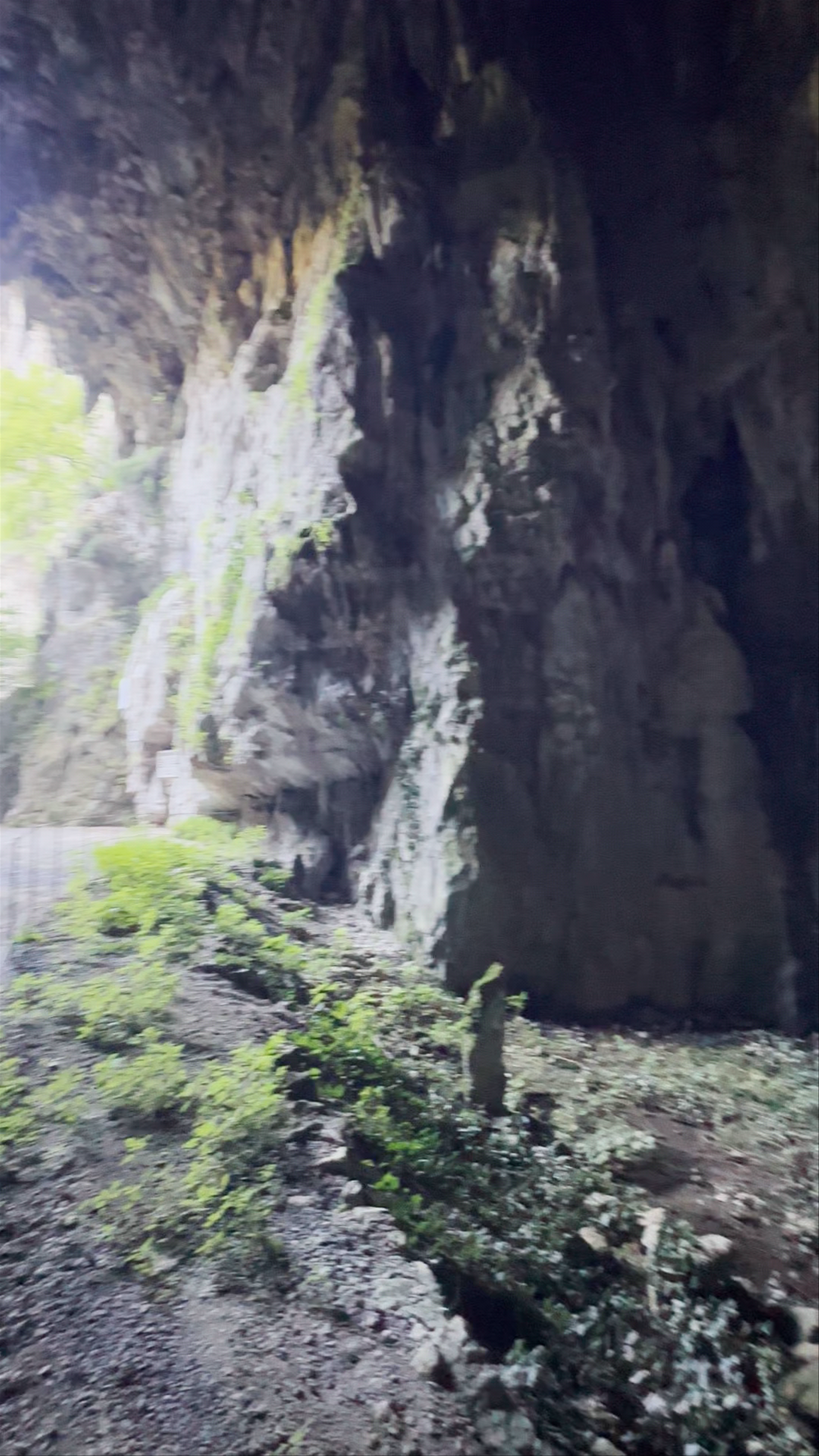 Skocjan Caves