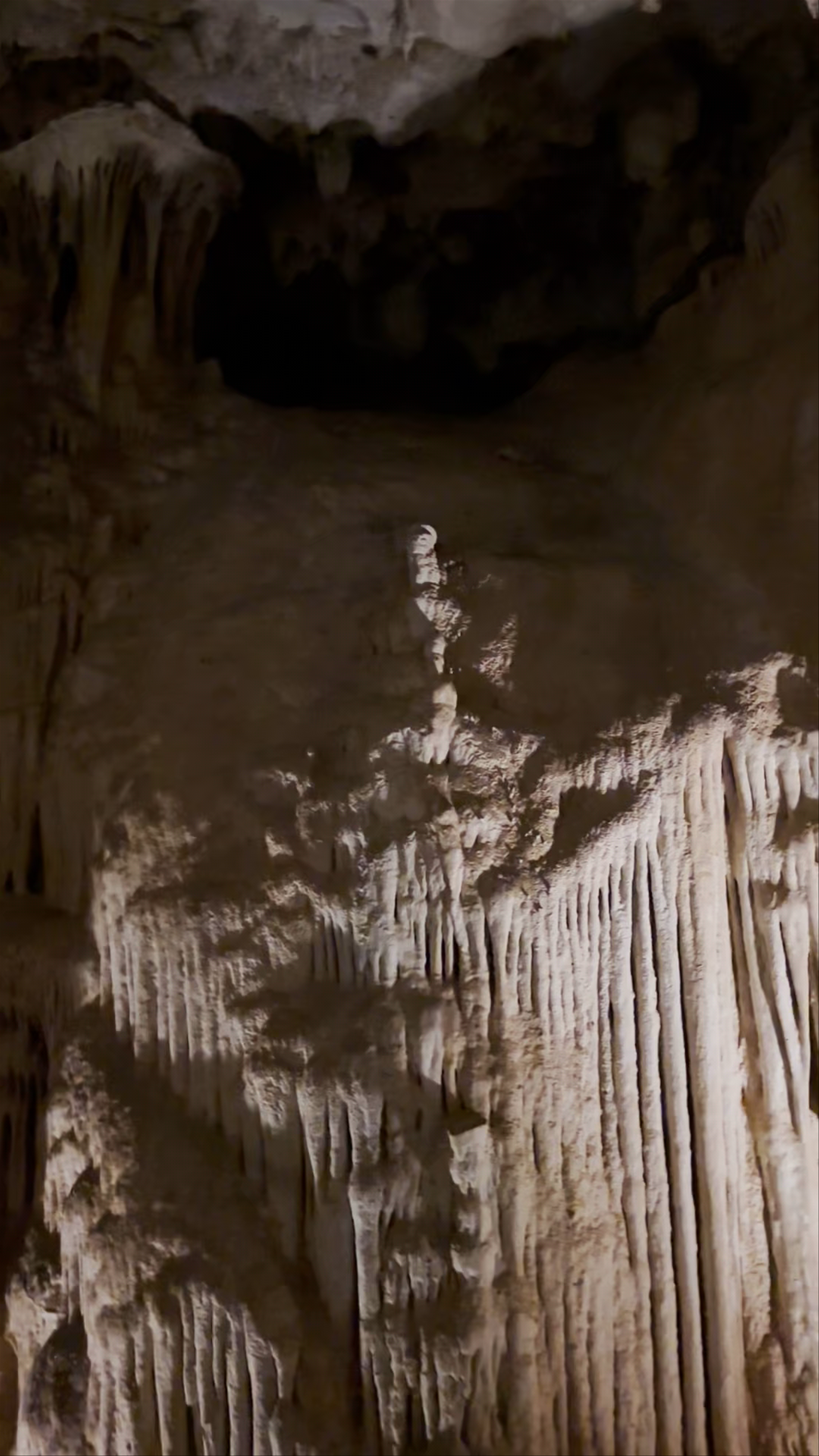 Fundación Cueva de Nerja