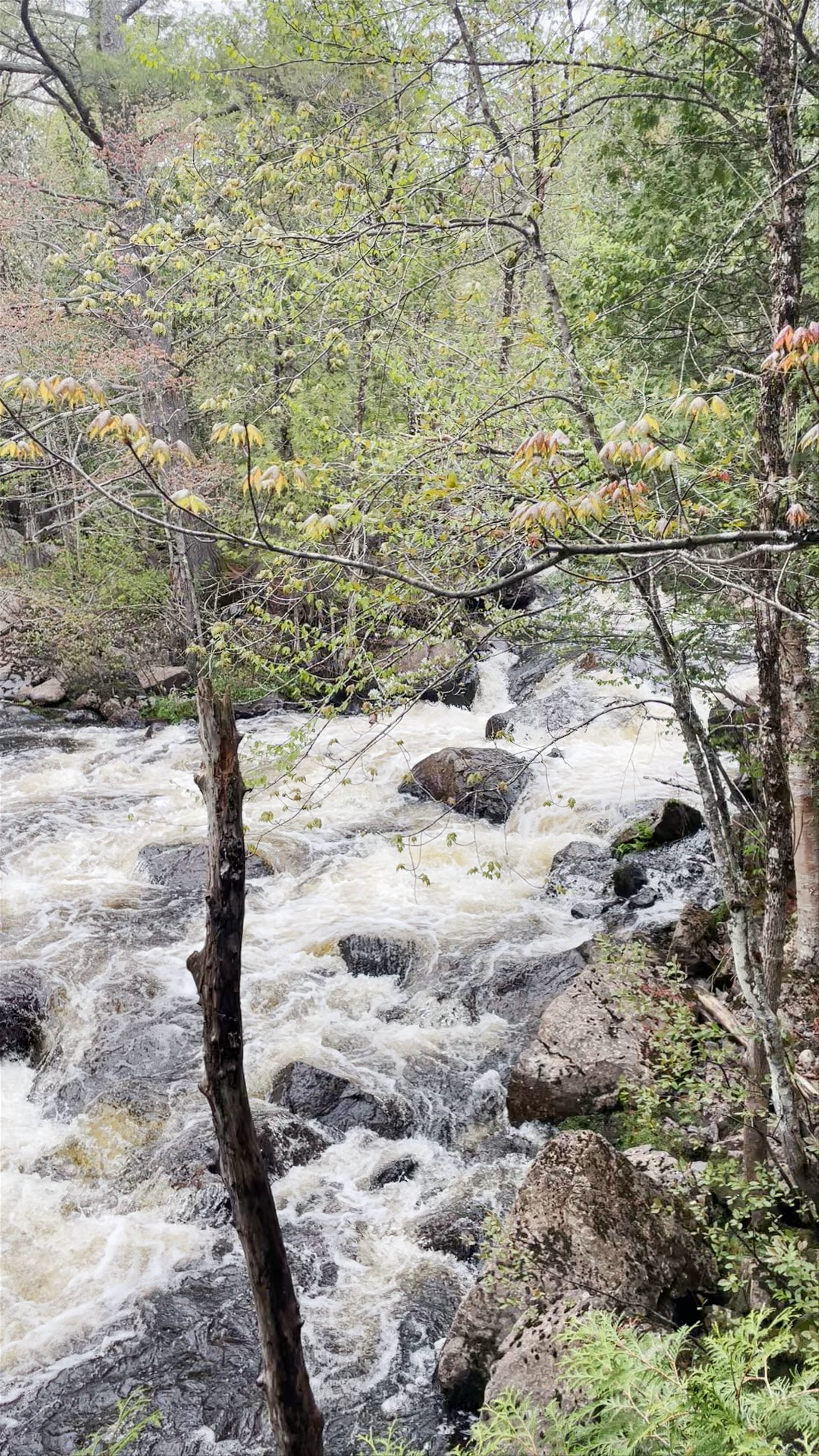 Doncaster River Park