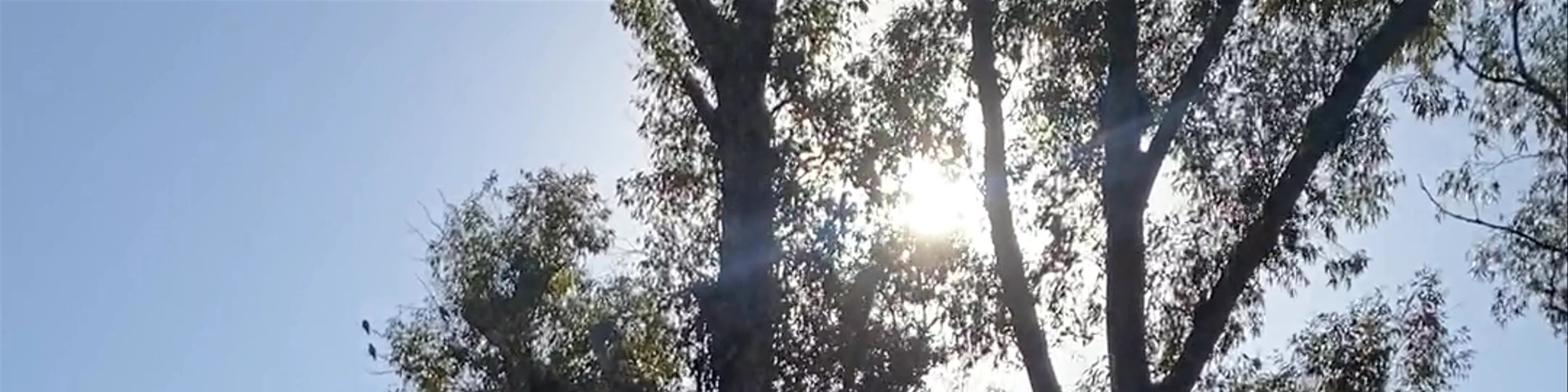 Parque Tres de Febrero