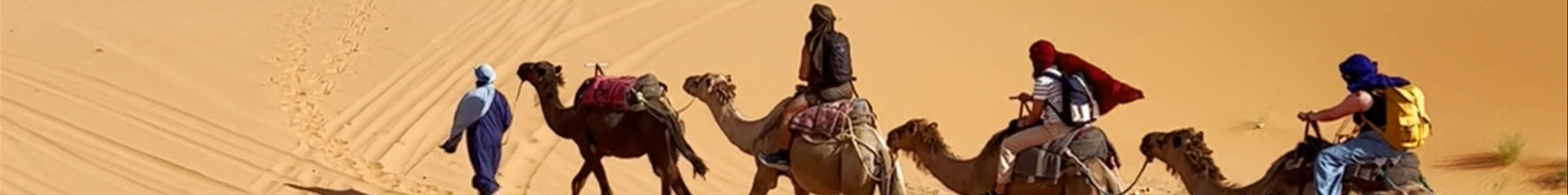 Tours & experiences in Marrakesh