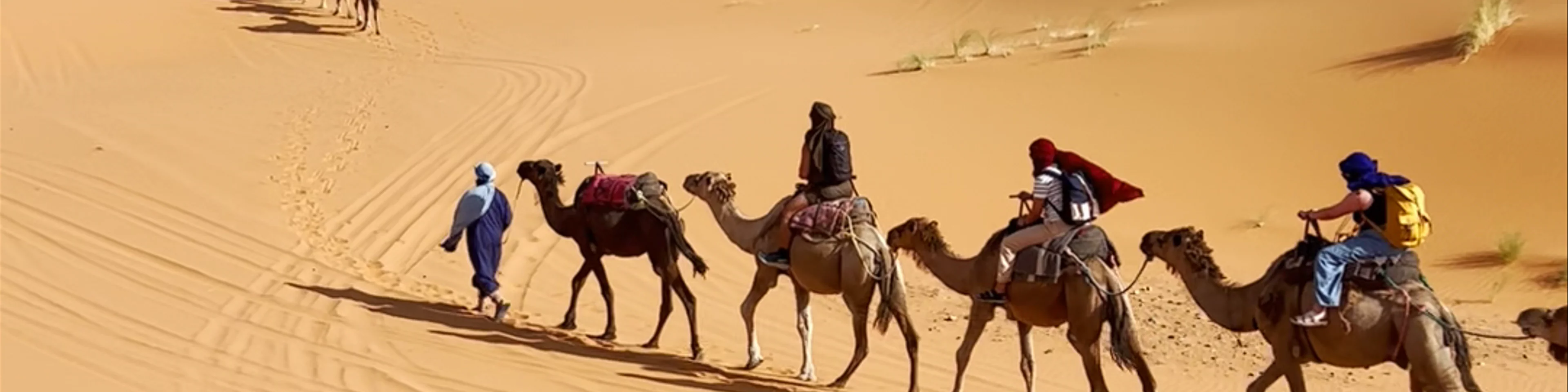 Desierto tours