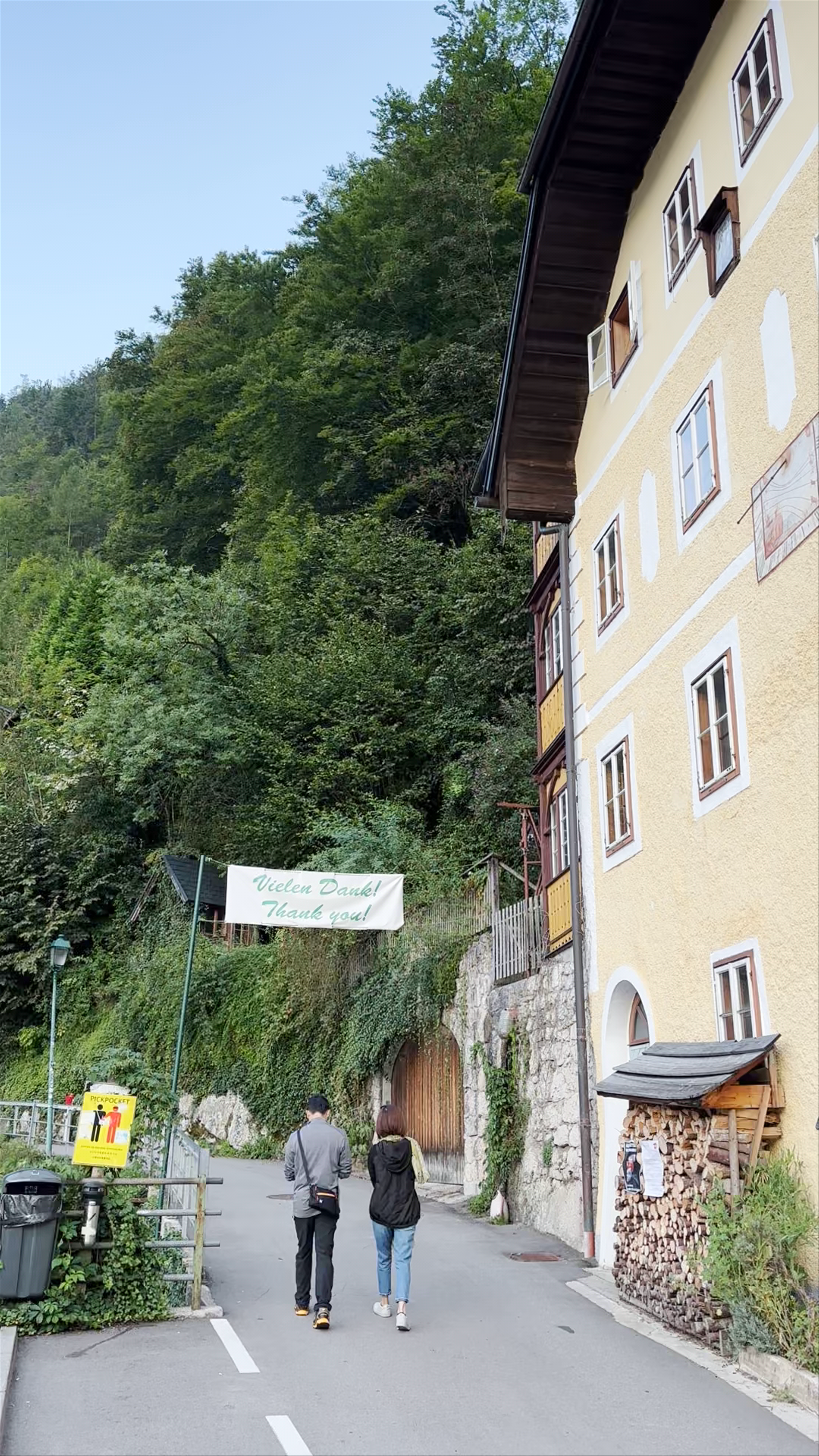 Panoramic Viewpoint - Hallstatt Skywalk
