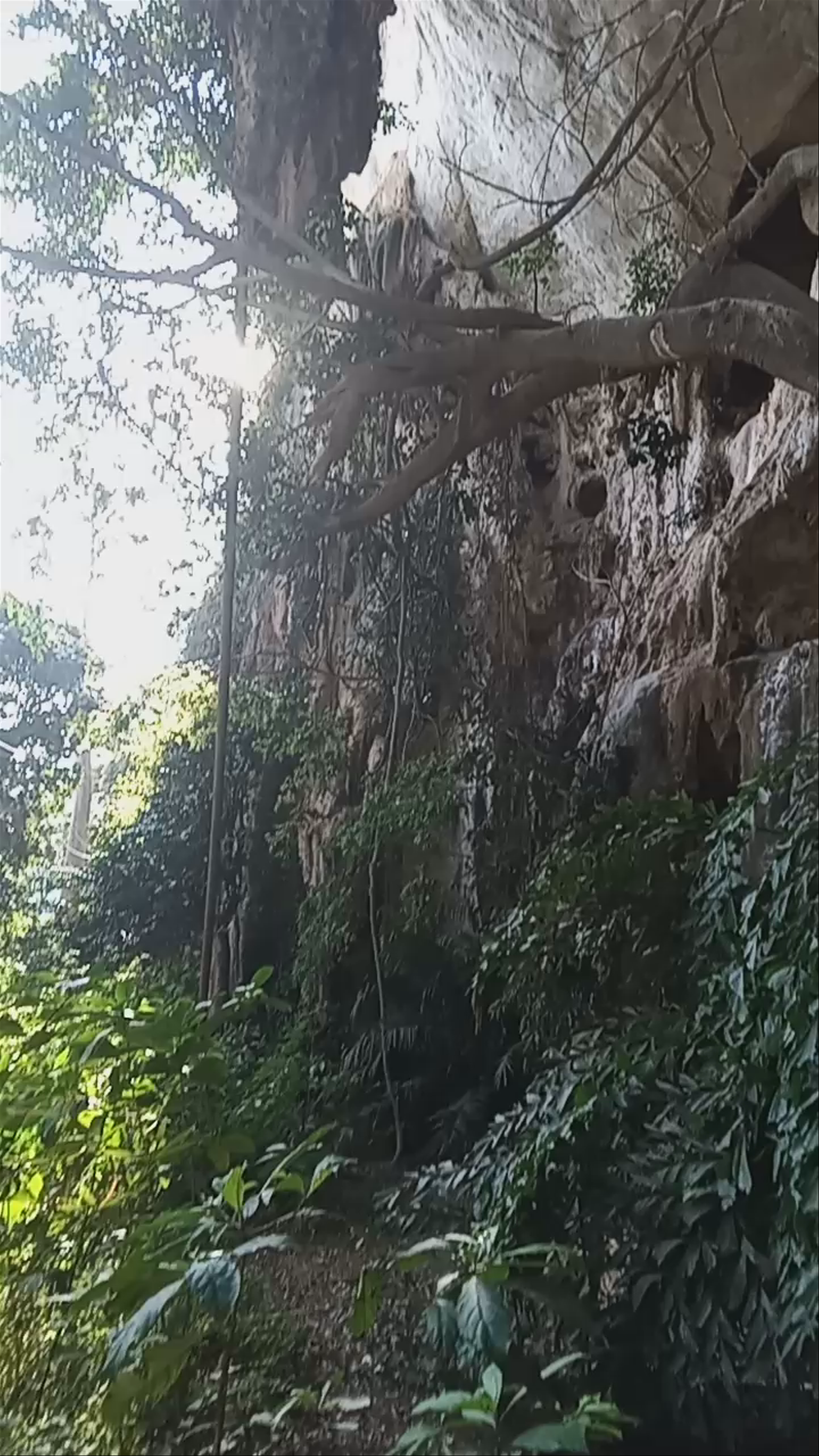 Diamond Cave / Phra Nang Nai Cave