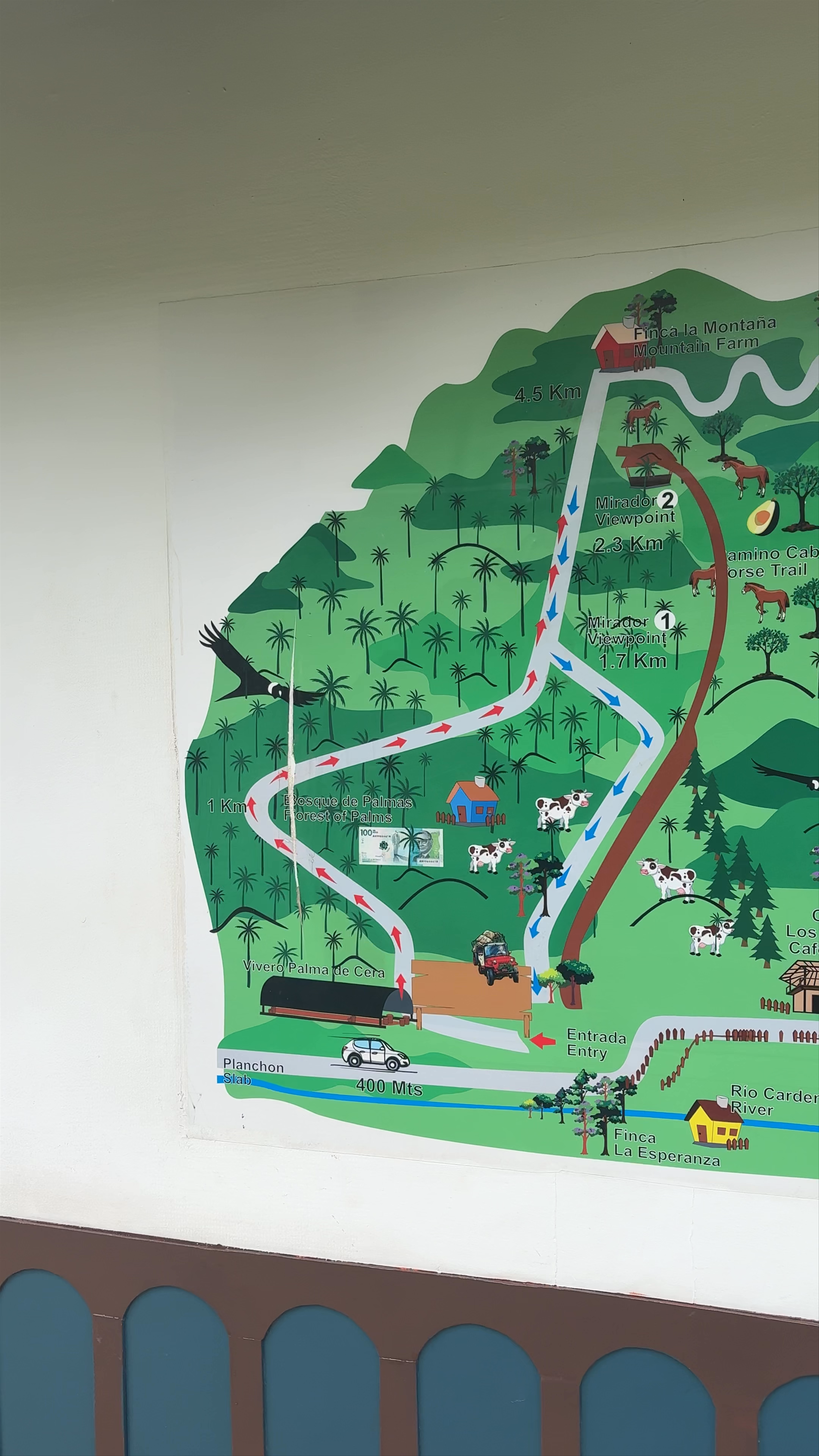 Cocora Valley Anticlockwise Trail Head