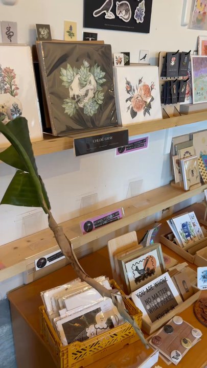 Dear Diary Coffee - Art - Coffee & Tea Near Me - Austin, Texas