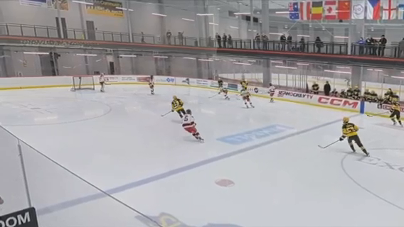 Oliver DeSanto Highlights |Goalie - New Jersey Rockets 14U AAA