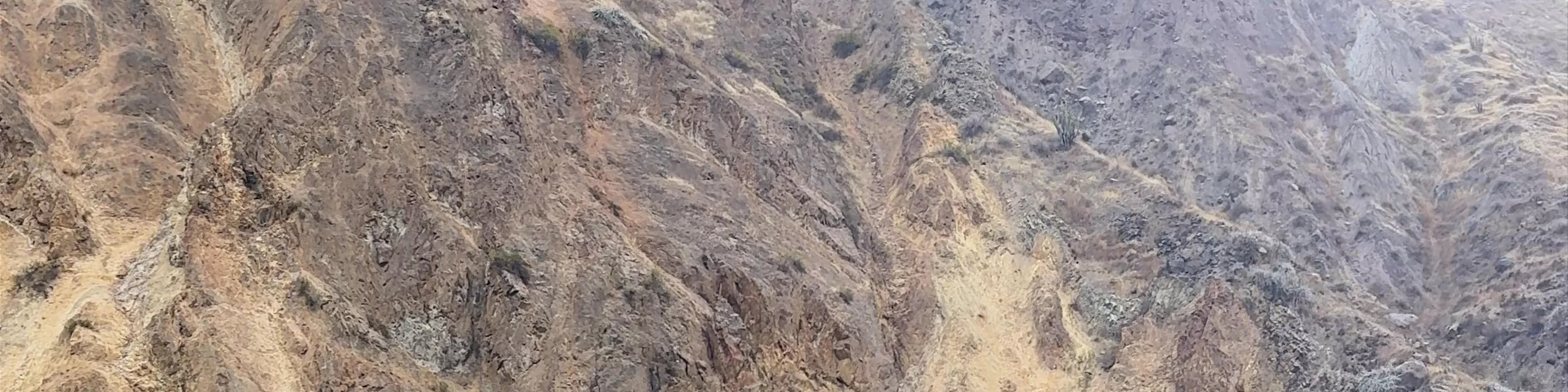 Sangalli