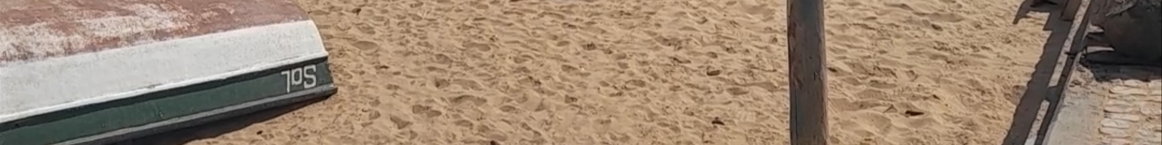 Tours & experiences in Cabo Verde