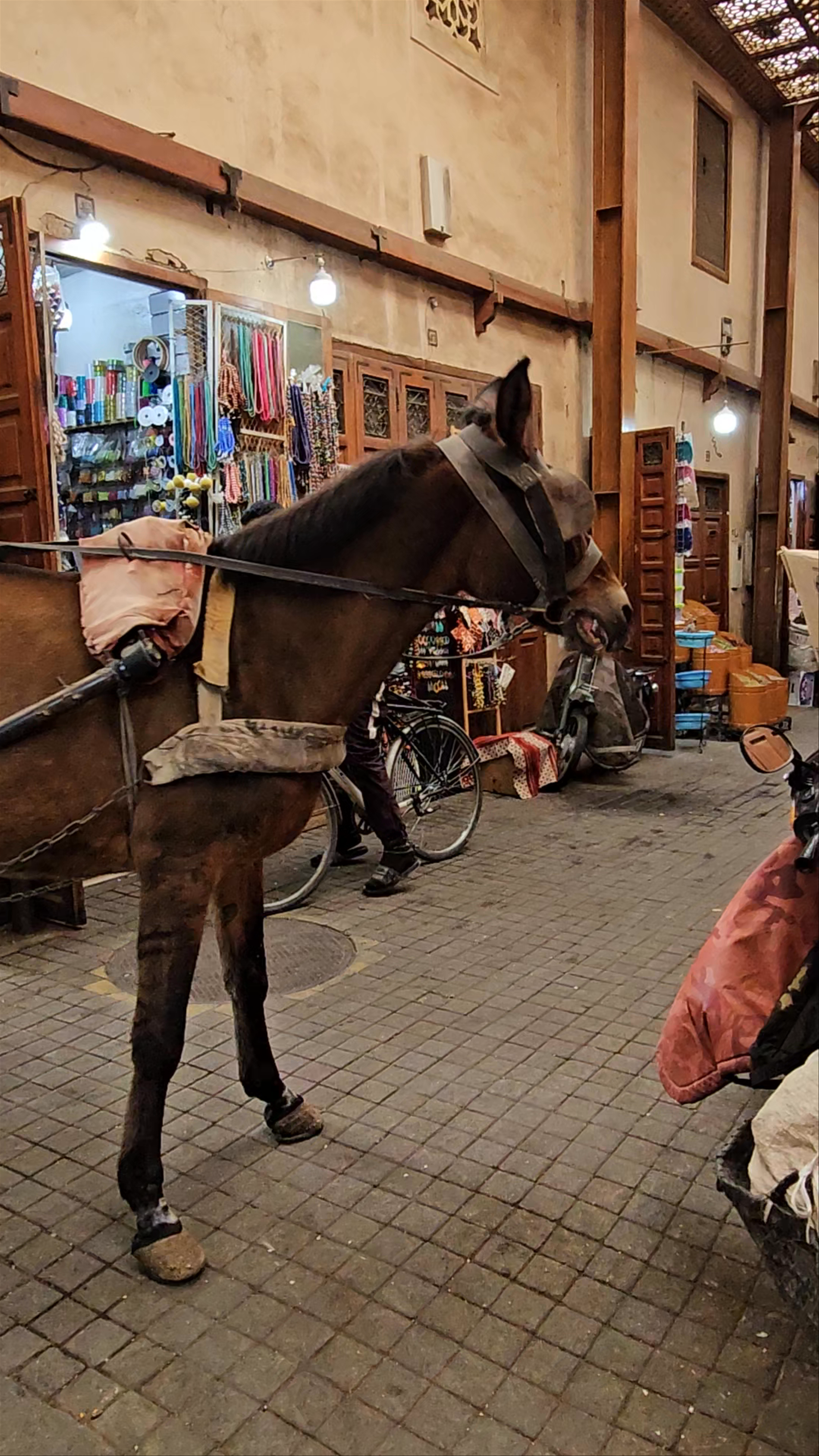 Souk Semmarine