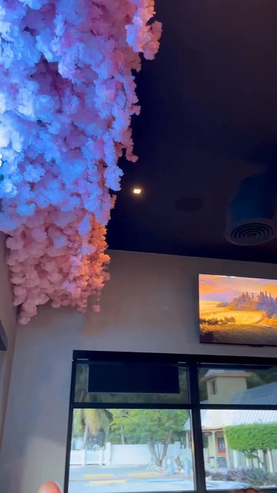 Sushi Sake - Sushi Bars Near Me - Islamorada, Florida