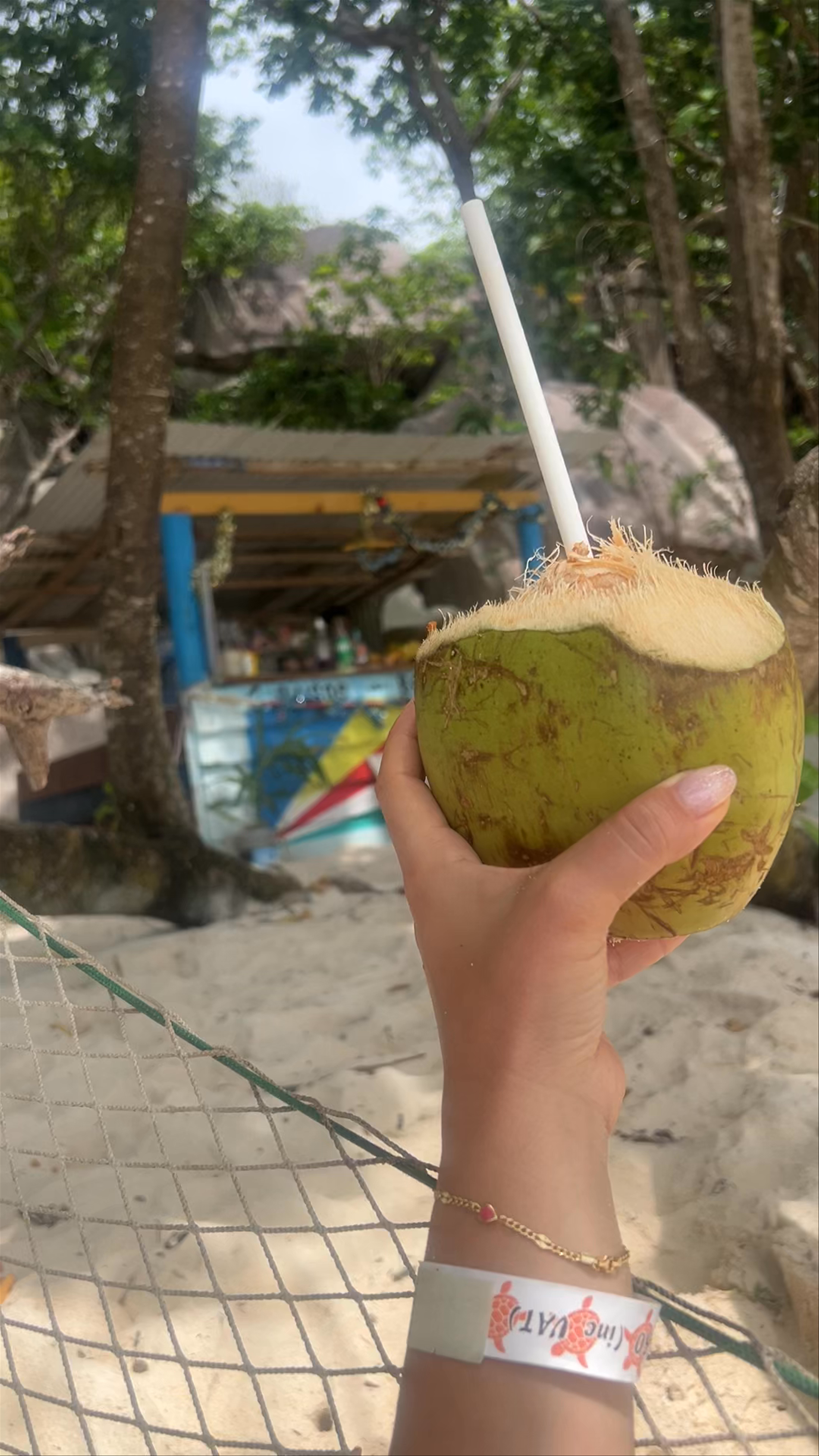 Robinson Crusoe Bar: Tropical Bliss on La Digue, Seychelles