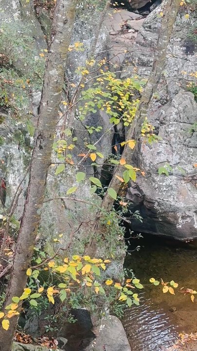 Glen Falls Trail - Hiking Near Me - Chattanooga, Tennessee