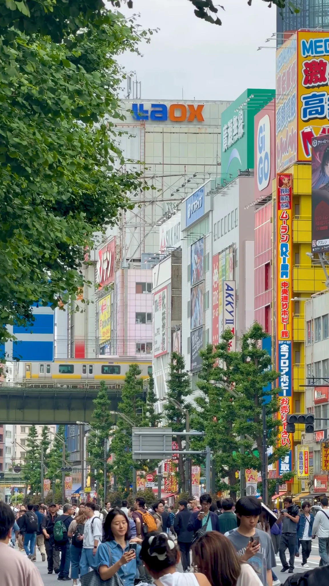 Video 13 · Jessica · Japan 360°: Tokyo, Kyoto, Hiroshima & Osaka by Bullet Train