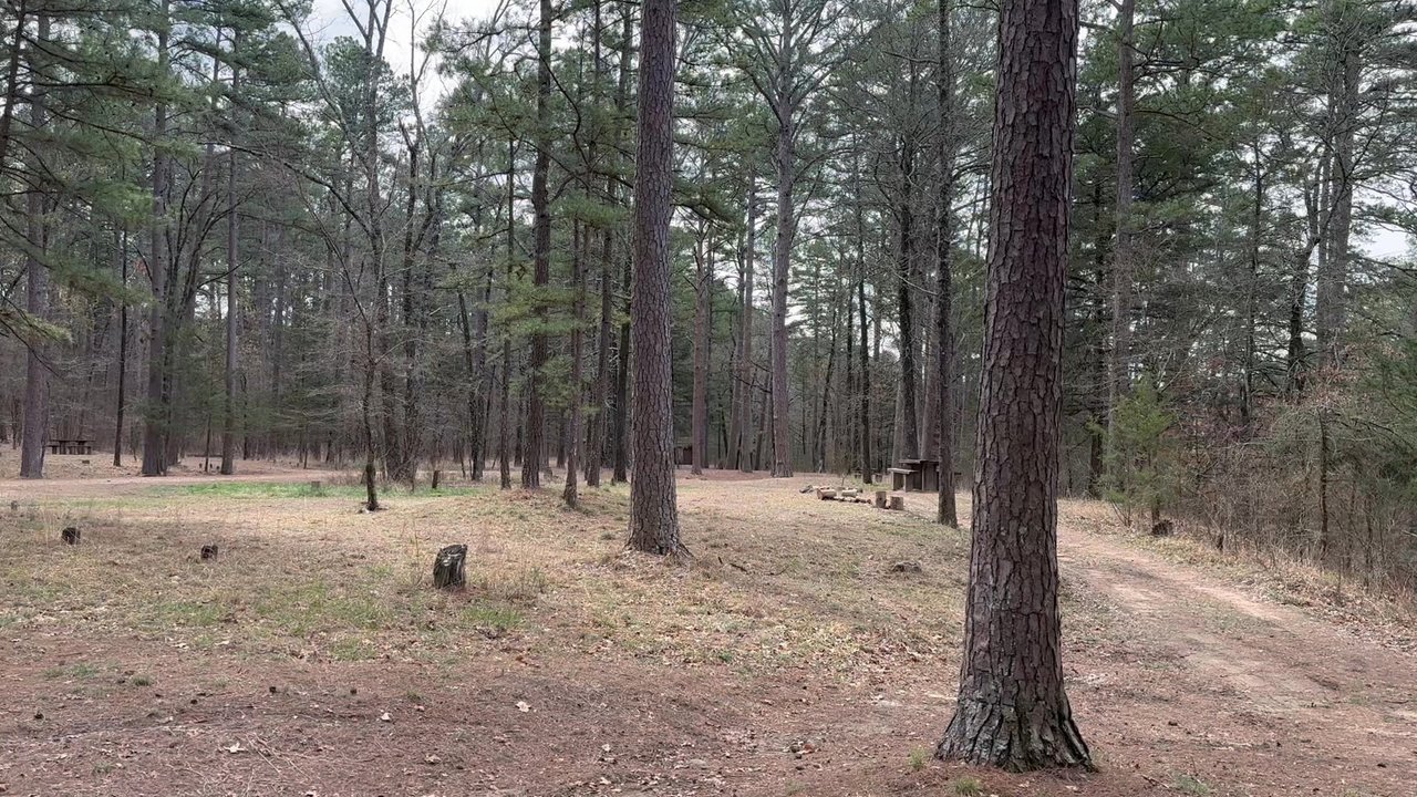 Billy Creek Trail - A look at the primitive camp sites. - Recreation Centers Near Me
